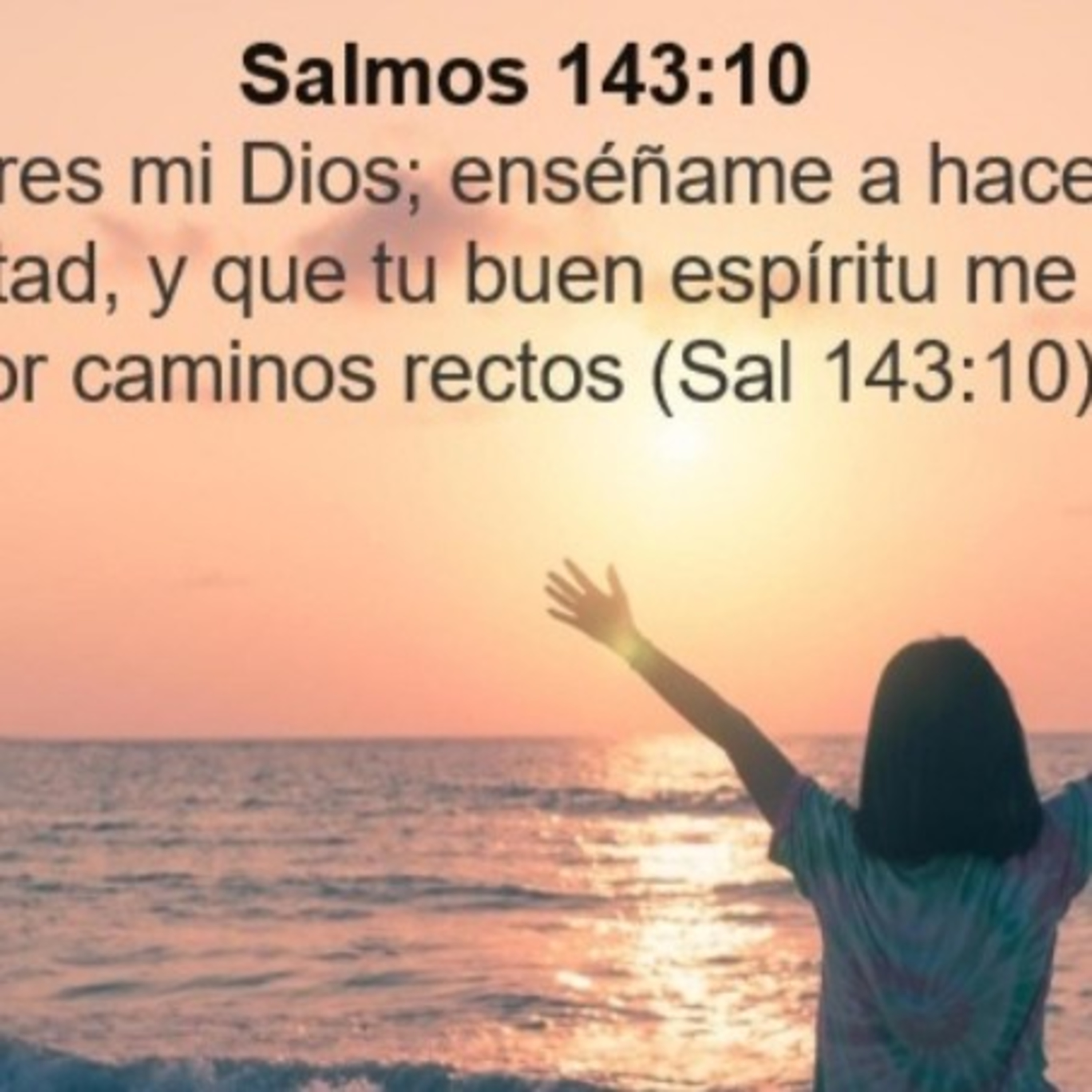 Conociendo a Dios