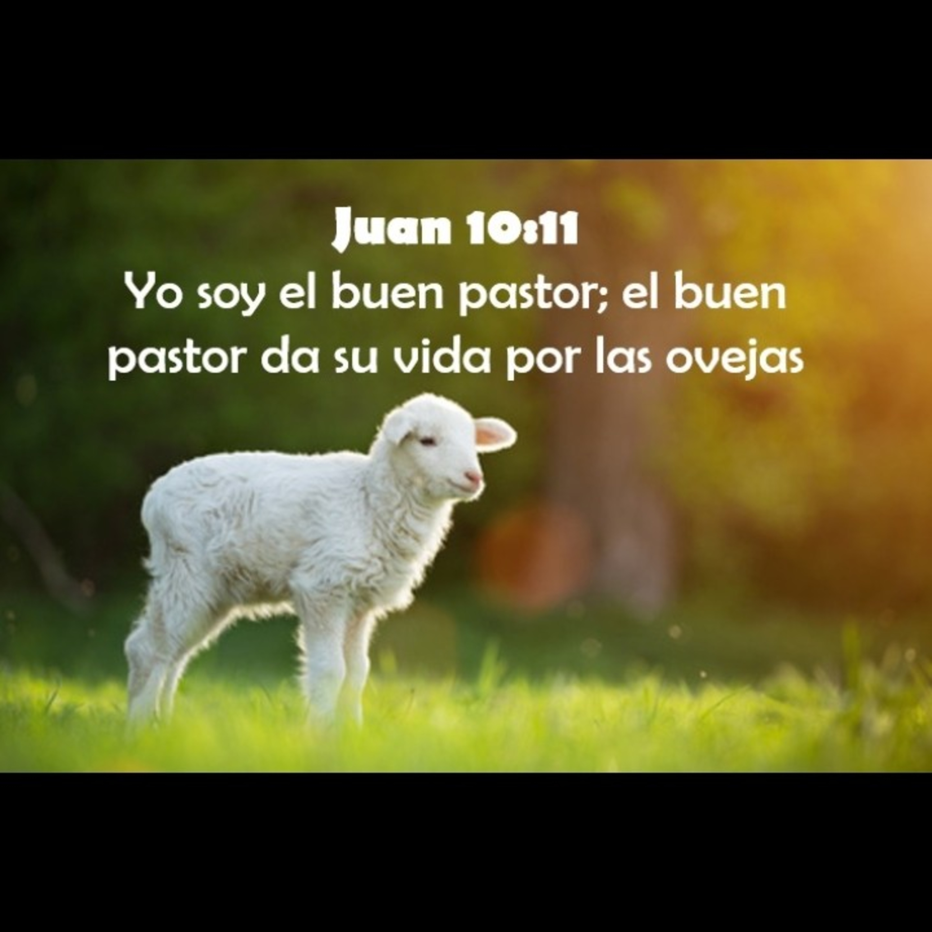 Conociendo a Dios