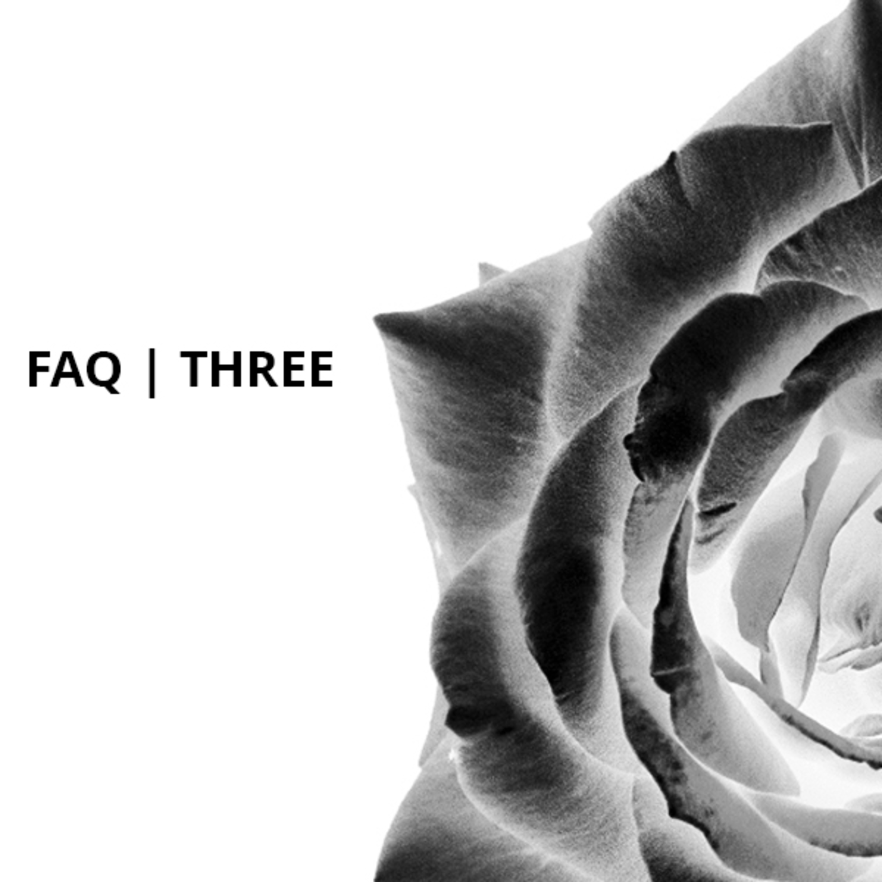 Frequently Asked Questions, Volume Three episode artwork