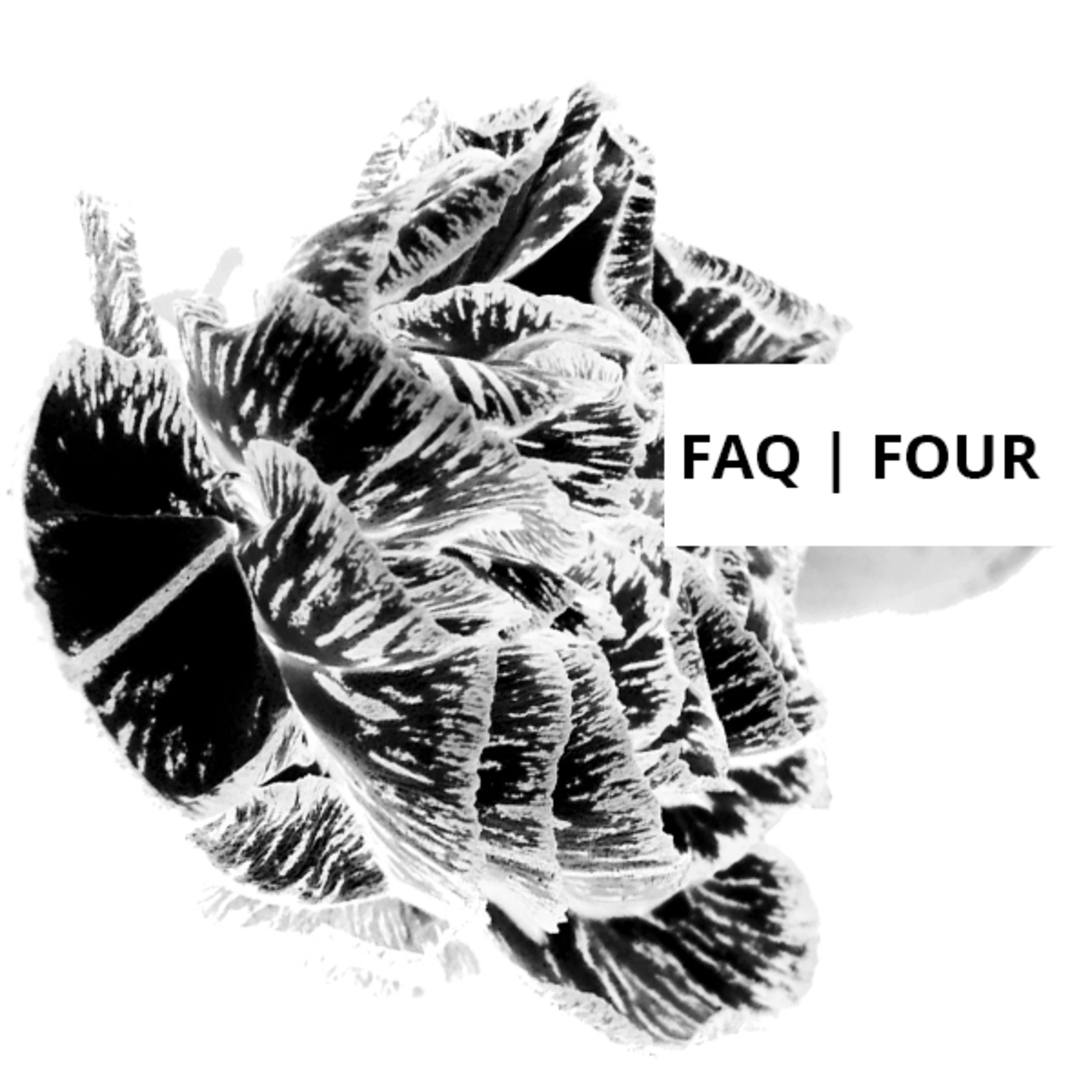 Frequently Asked Questions, Volume Four episode artwork