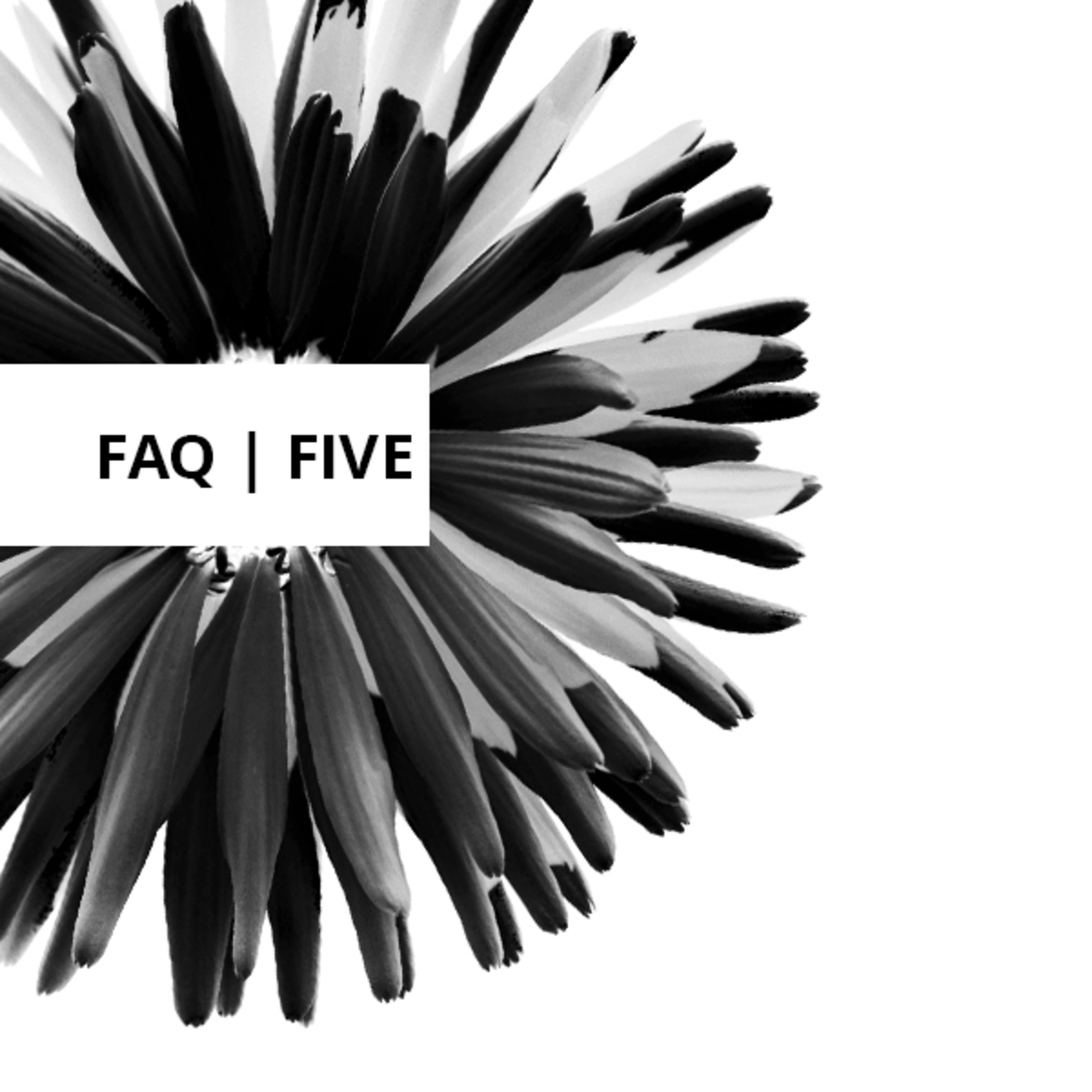 Frequently Asked Questions, Volume Five episode artwork