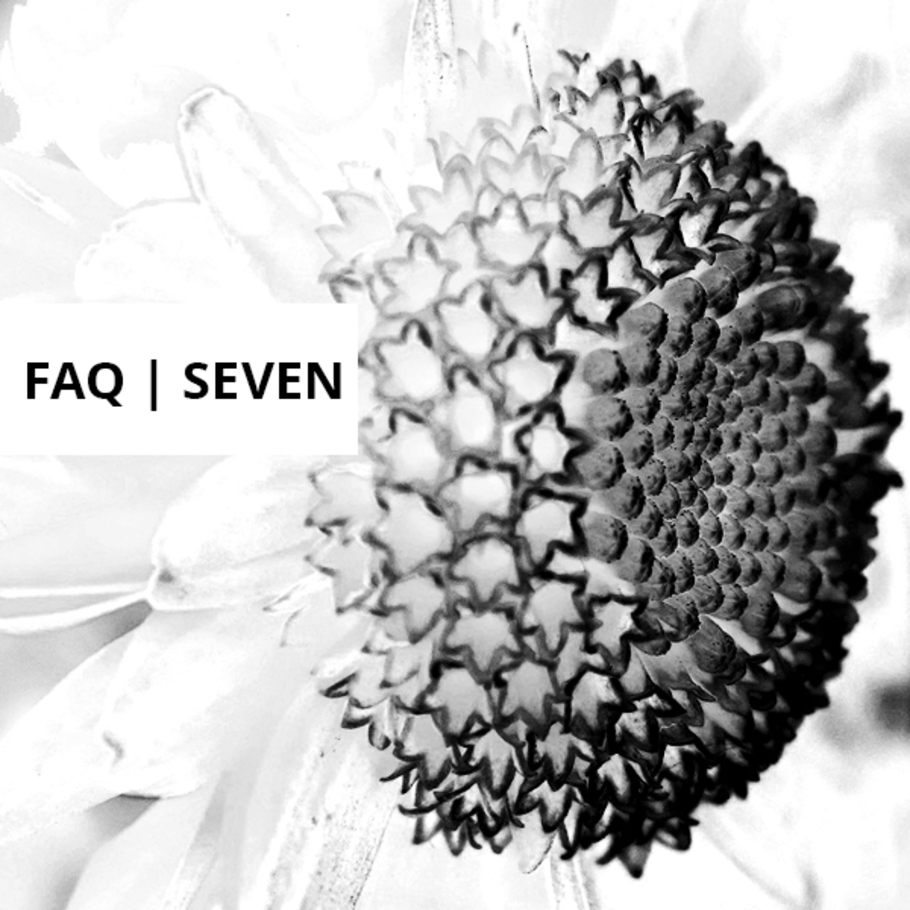 Frequently Asked Questions, Volume Seven episode artwork