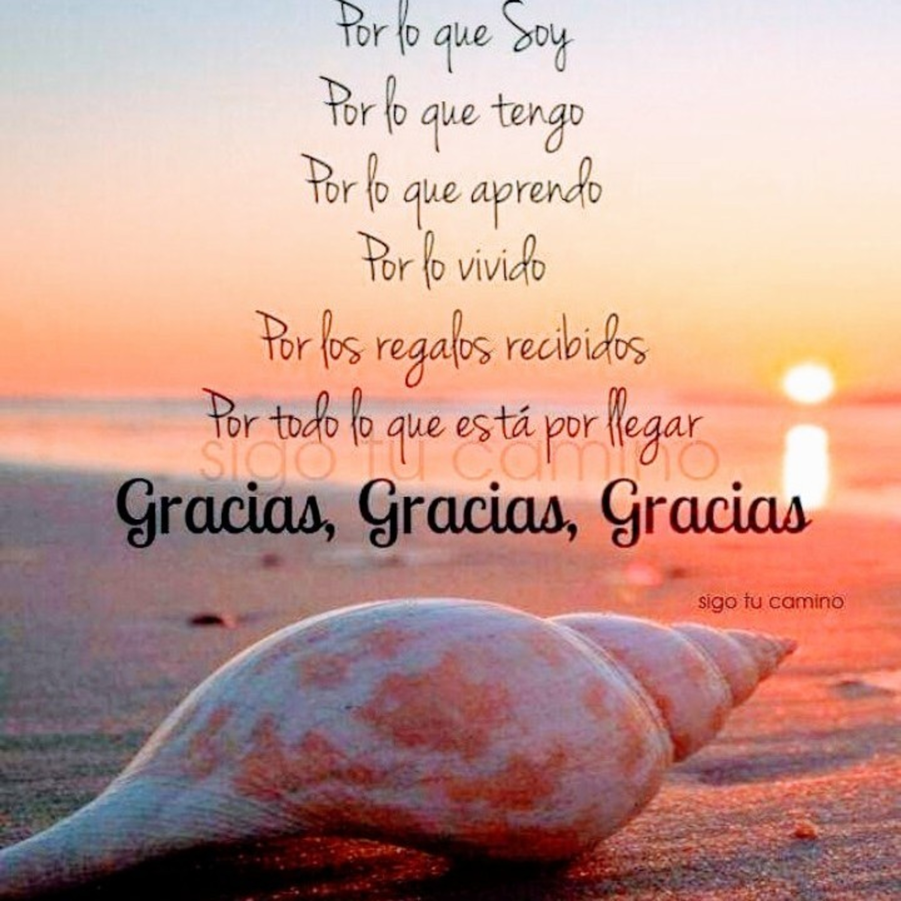 La Gratitud y su poder para sanar bendecir. episode artwork
