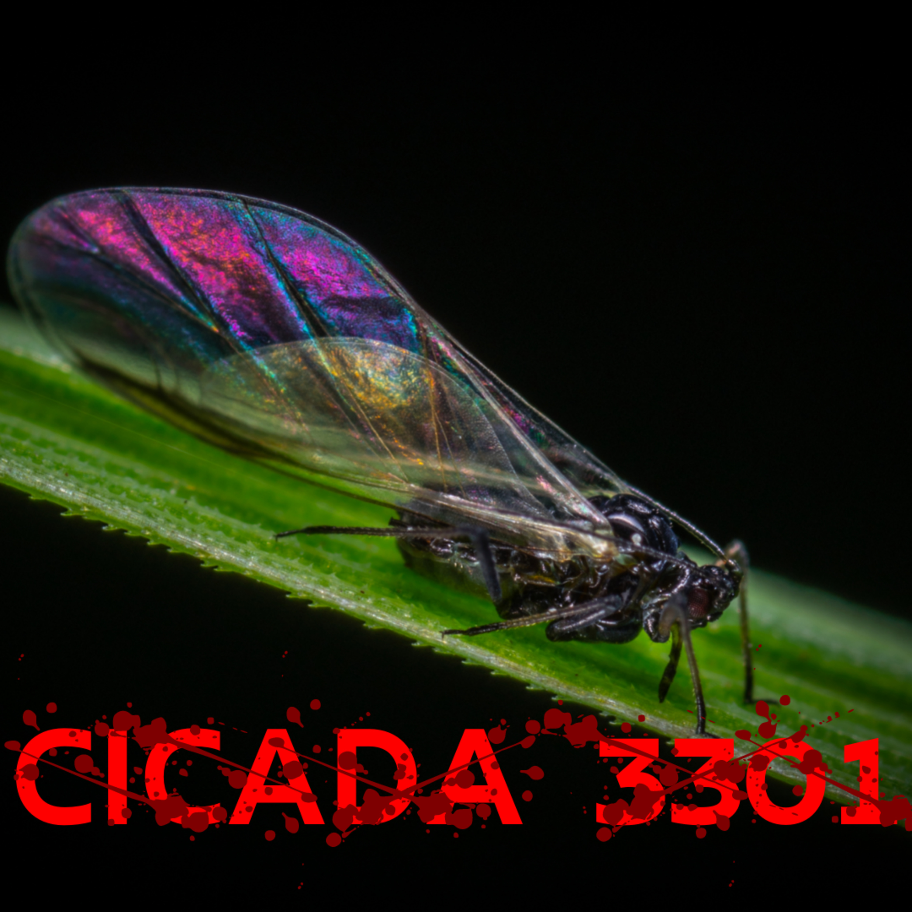 SciFind