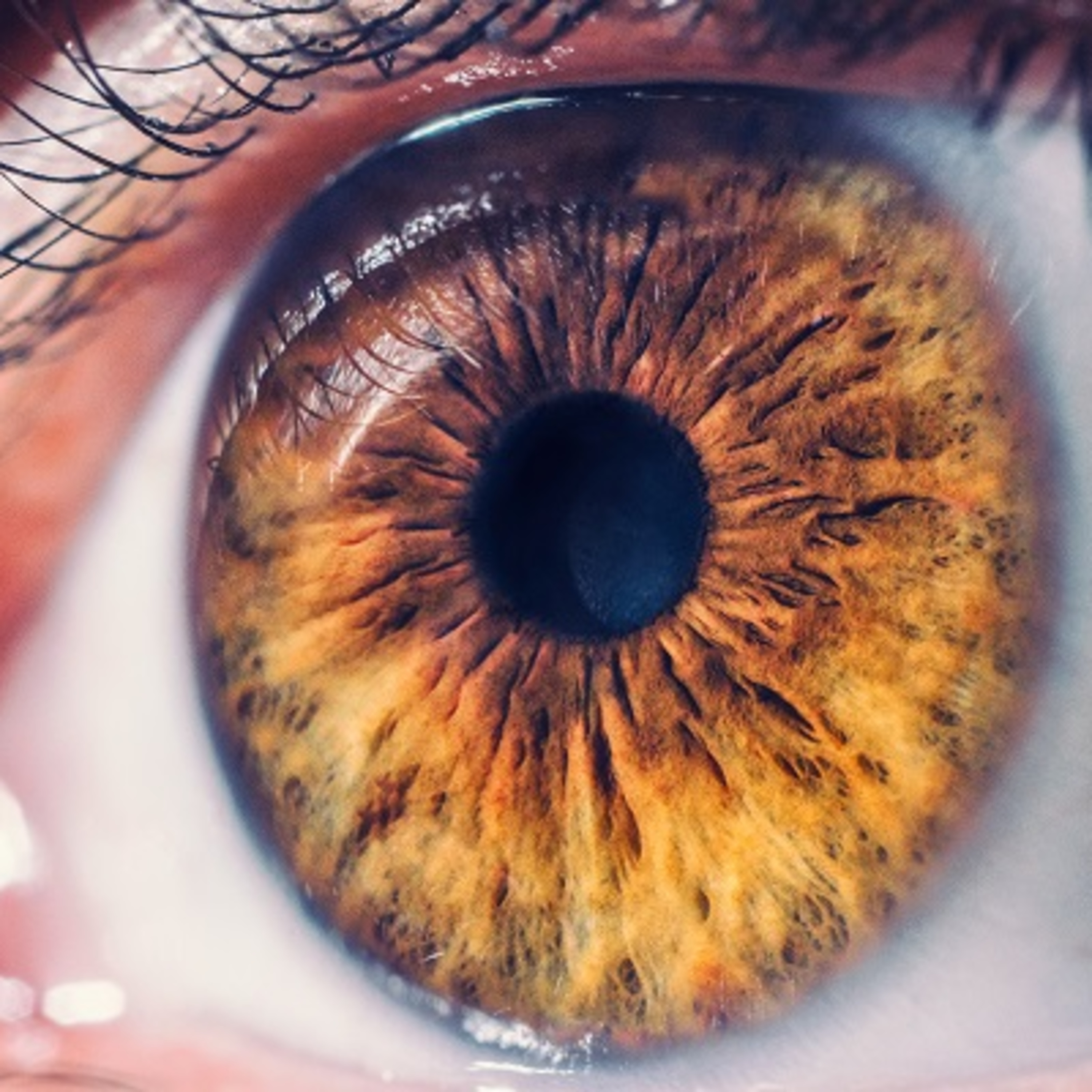 EXERCITANDO A REGIÃO OCULAR episode artwork