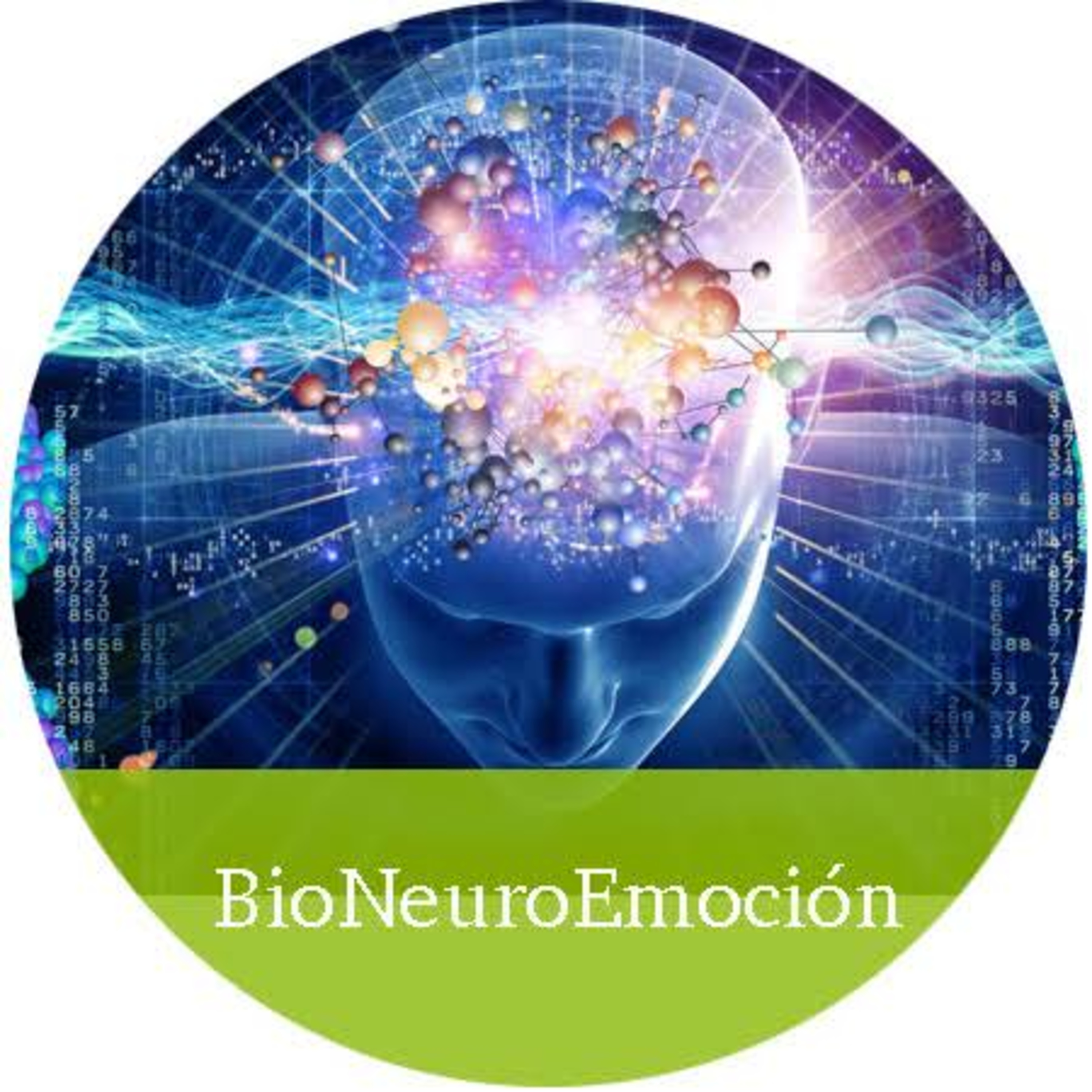 Producto final conclusiones episode artwork