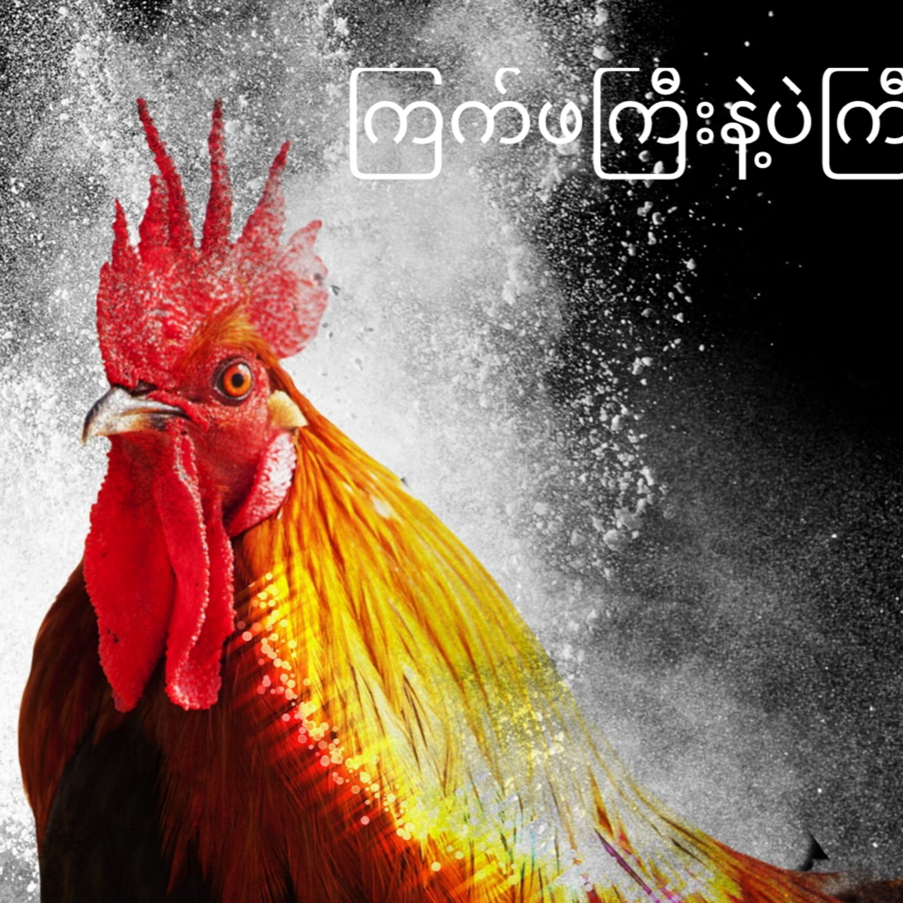 ကြက်ဖ နဲ့ ပဲကြီးစေ့ episode artwork