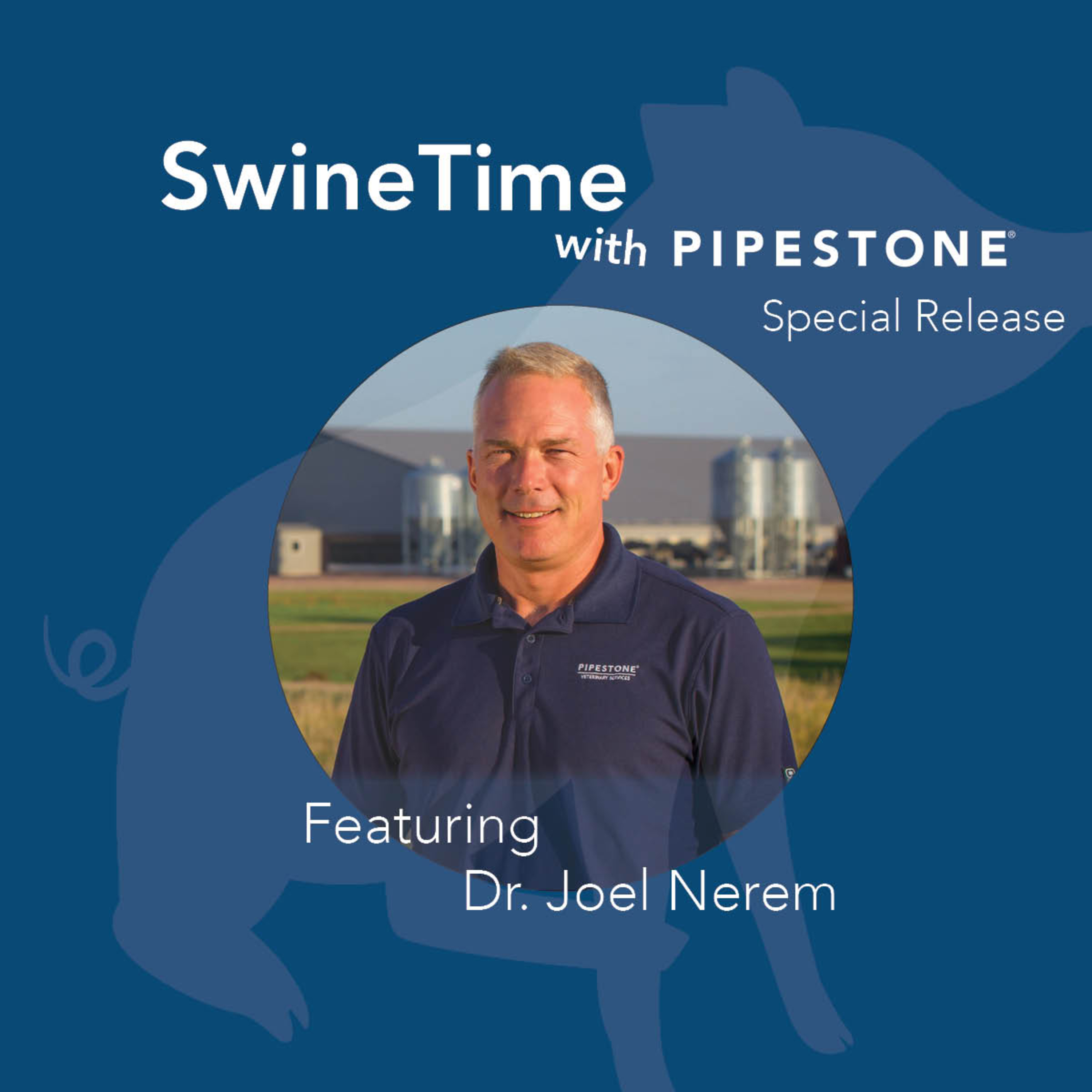 SwineTime with Pipestone