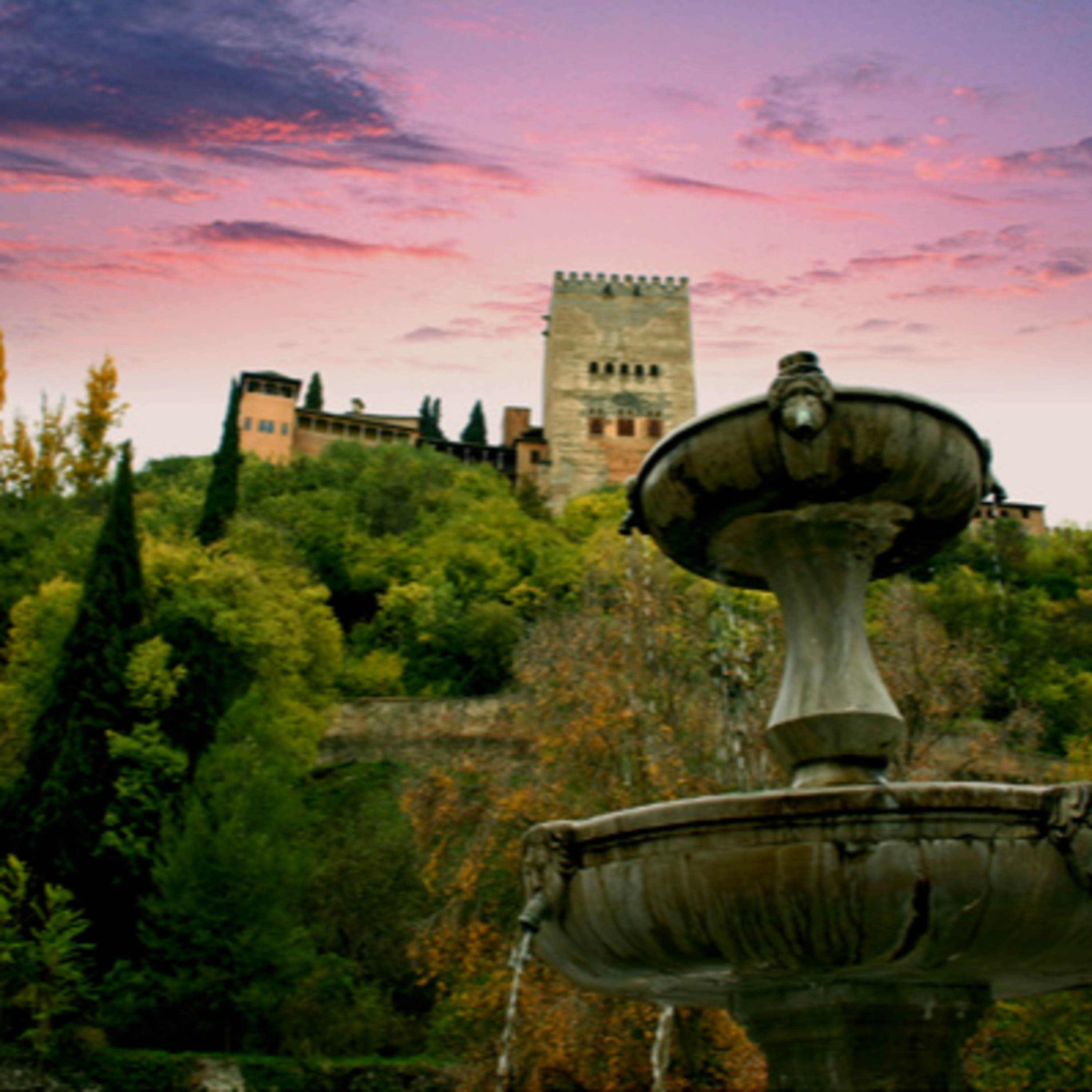 Agencia De Viajes ACCESITRAVEL
