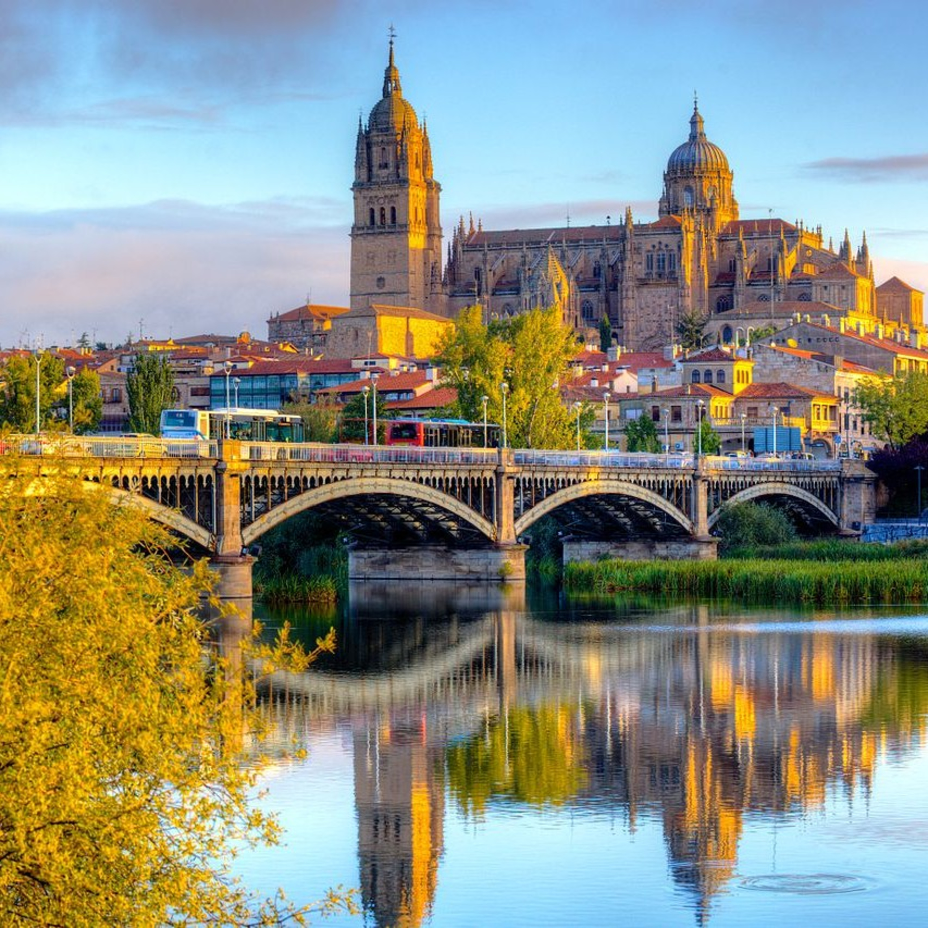 Agencia De Viajes ACCESITRAVEL