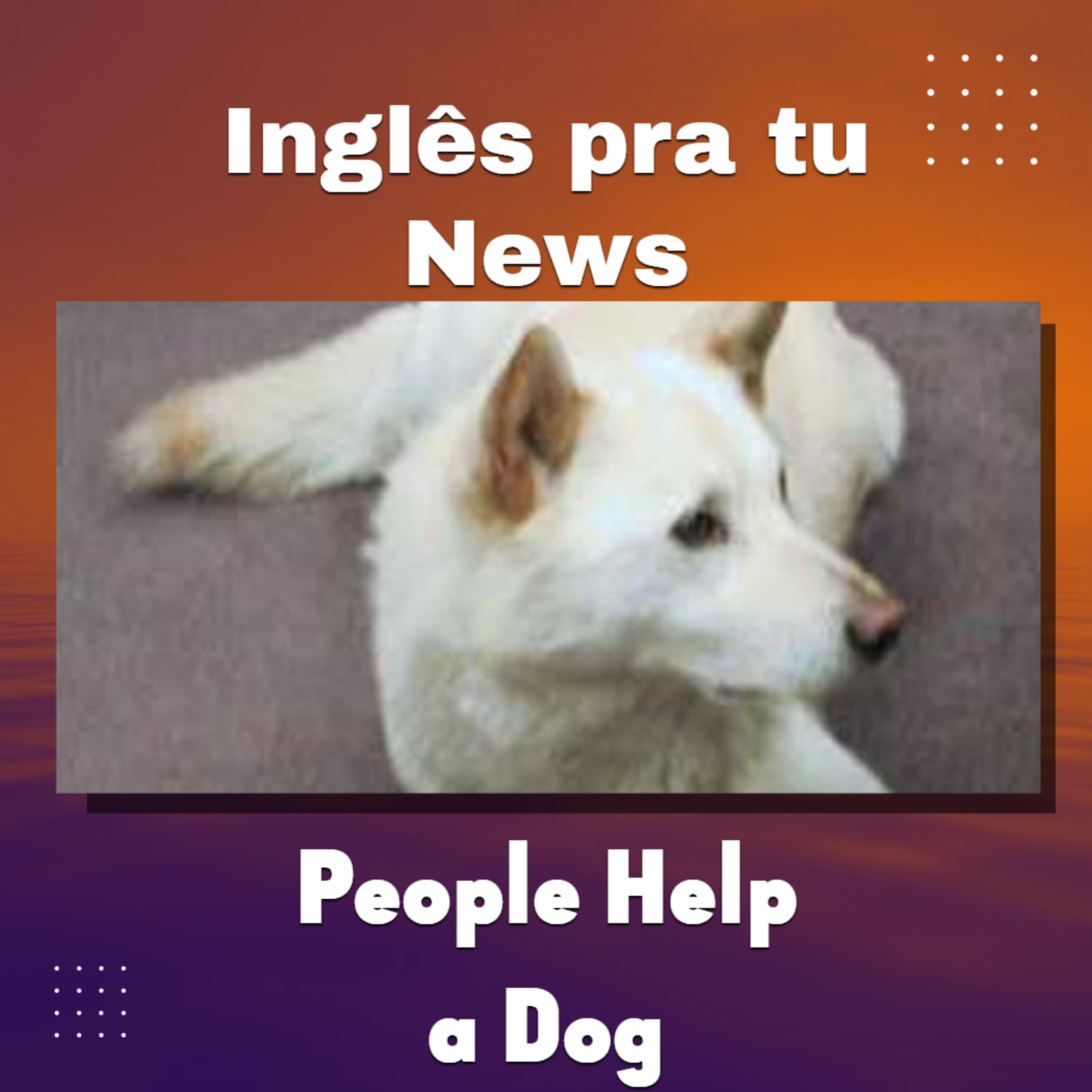 People Help a Dog - Inglês pra Tu News episode artwork