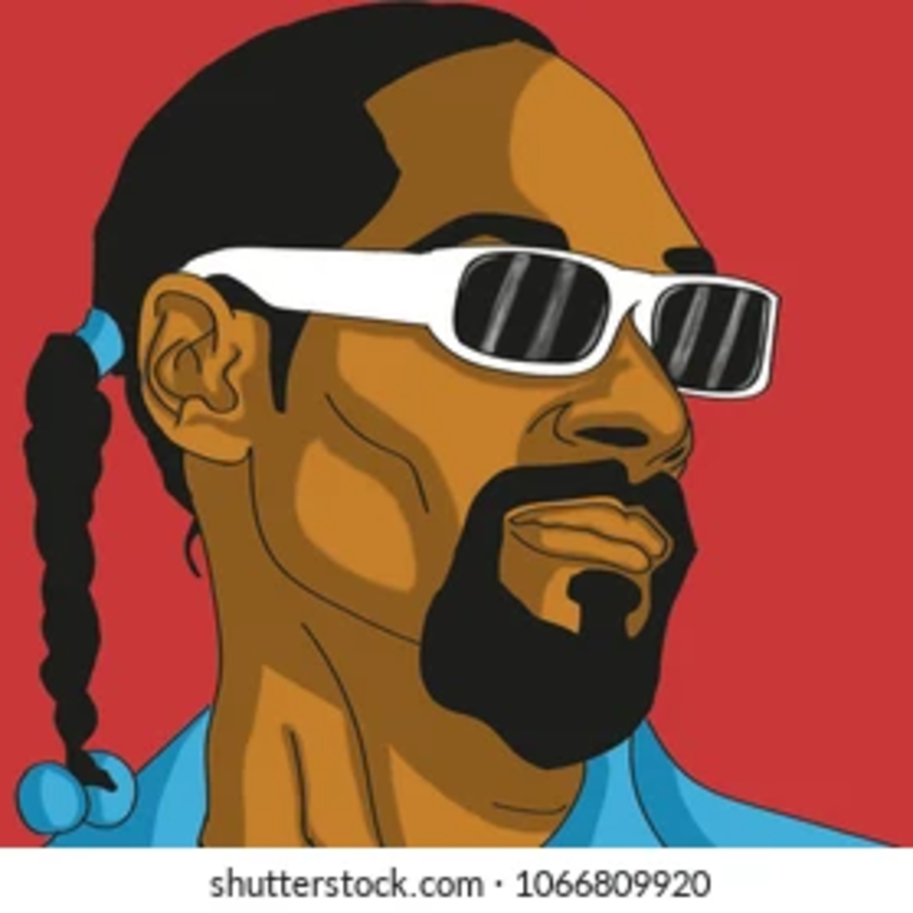 the Snoop Dogg Channel