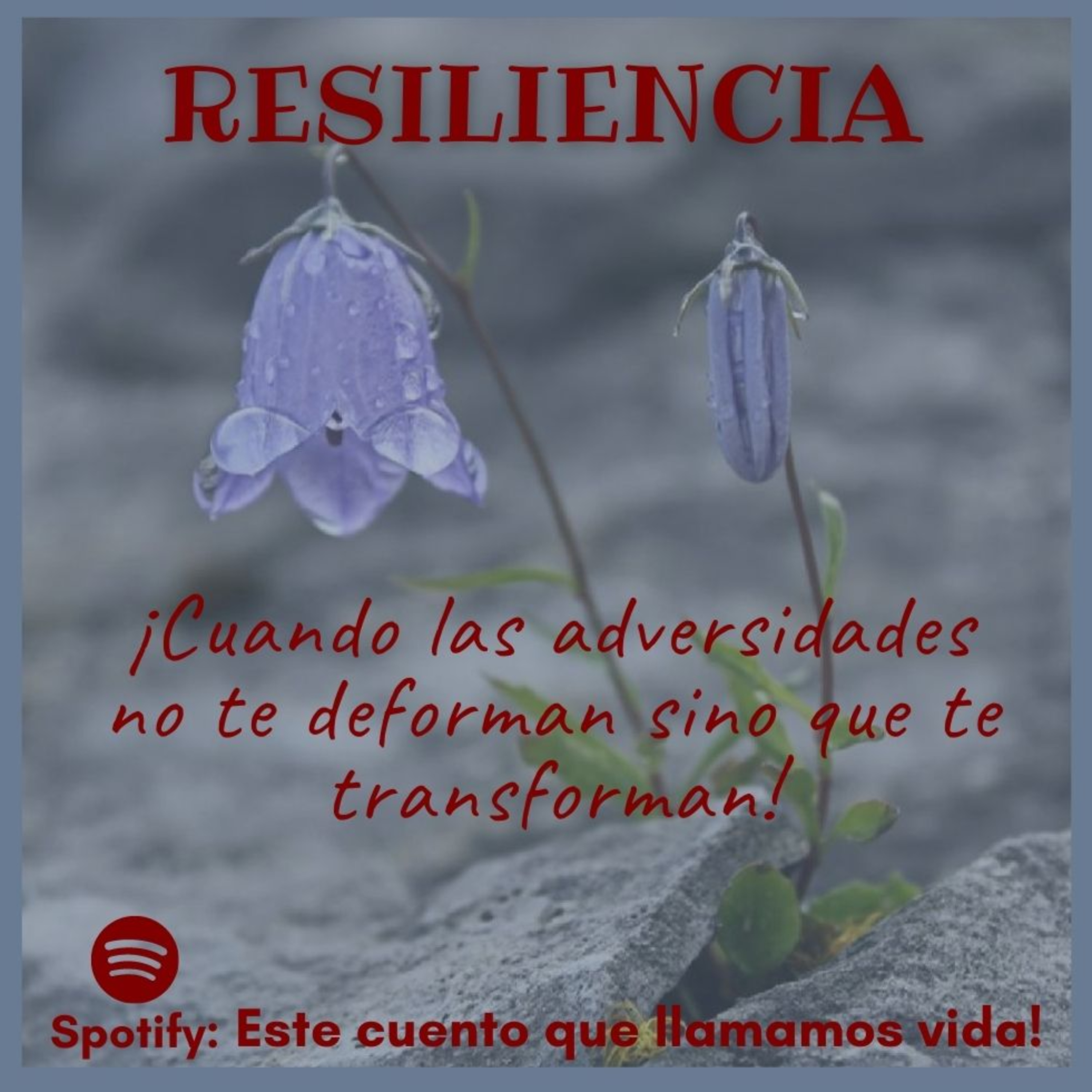 Este cuento que llamamos vida!