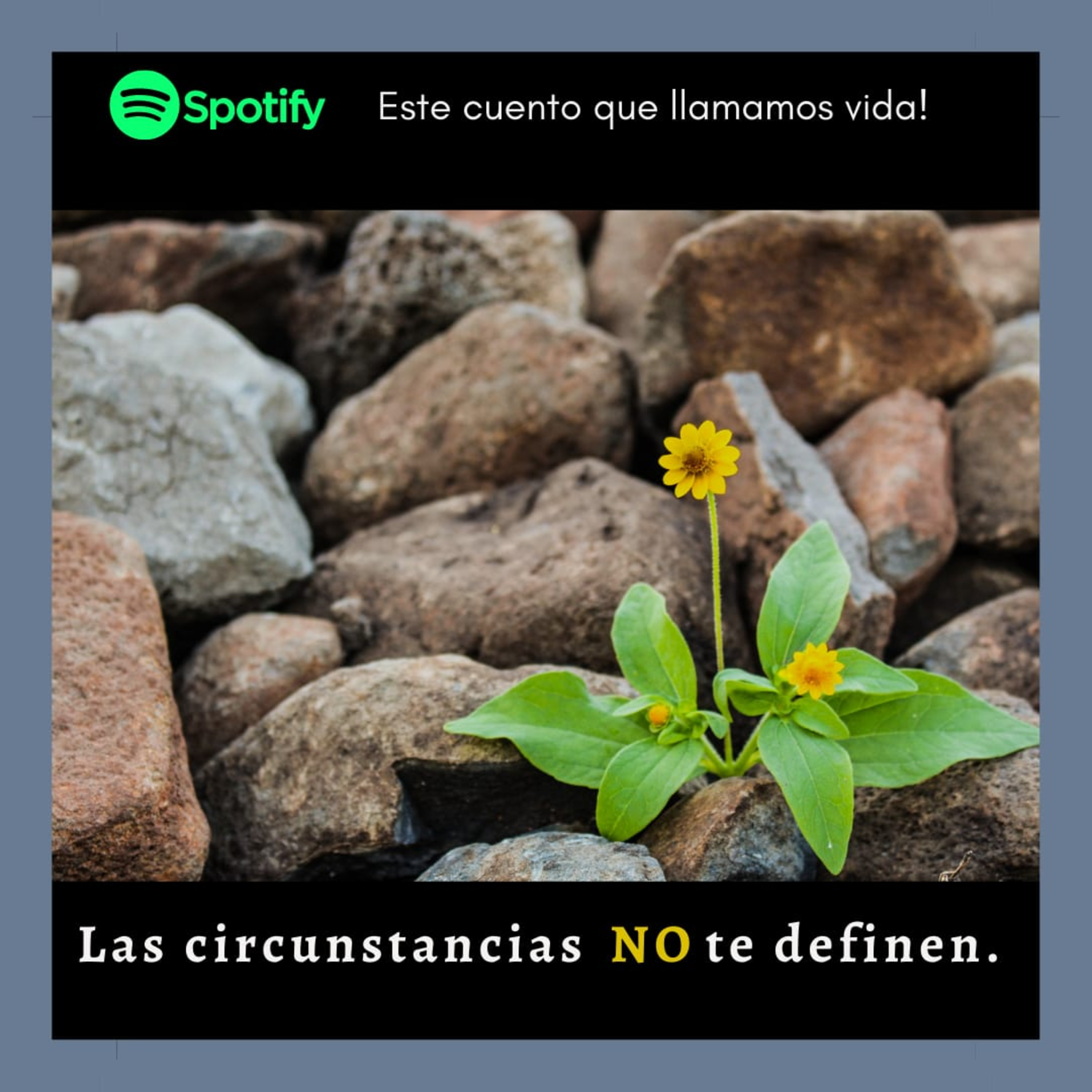 Este cuento que llamamos vida!