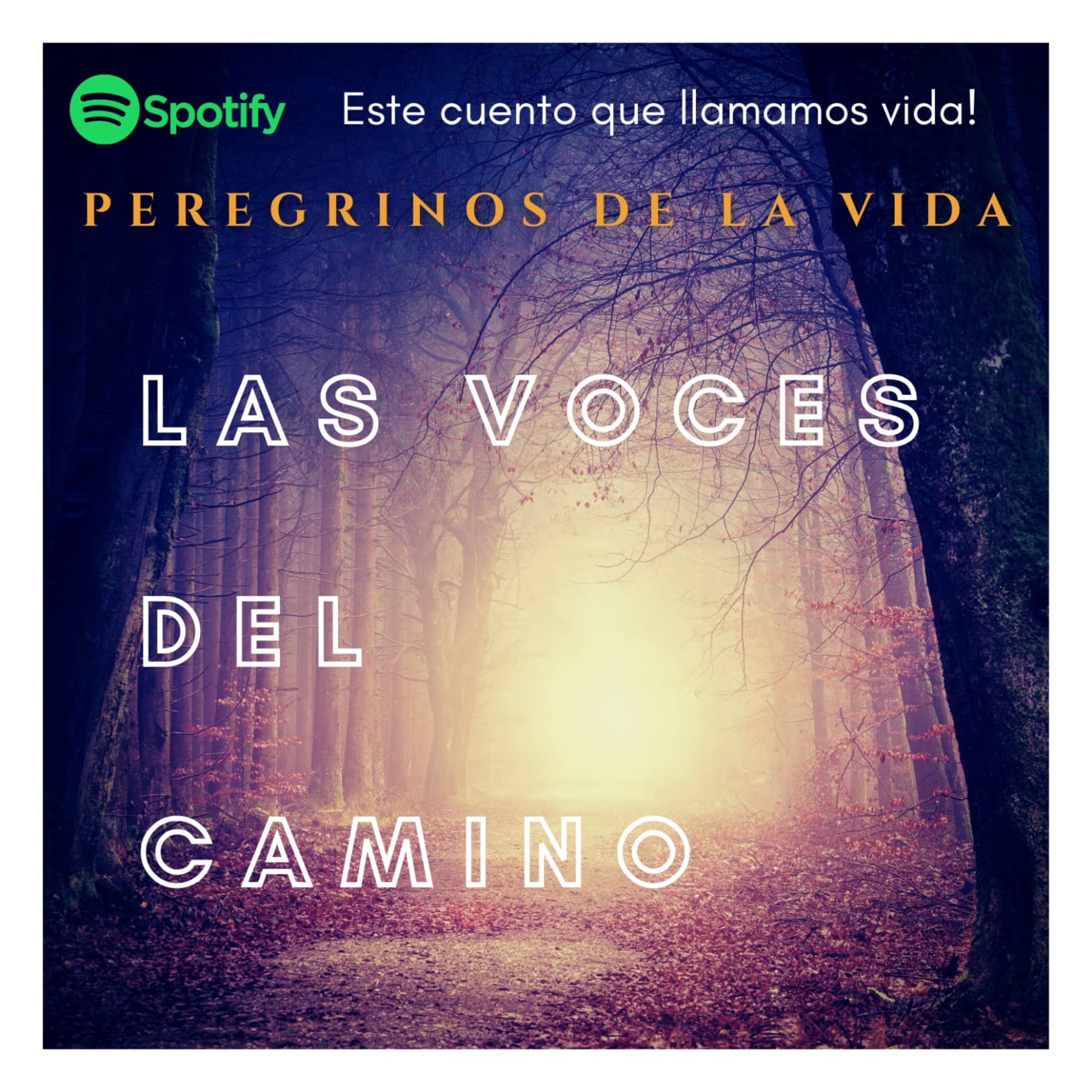 Este cuento que llamamos vida!