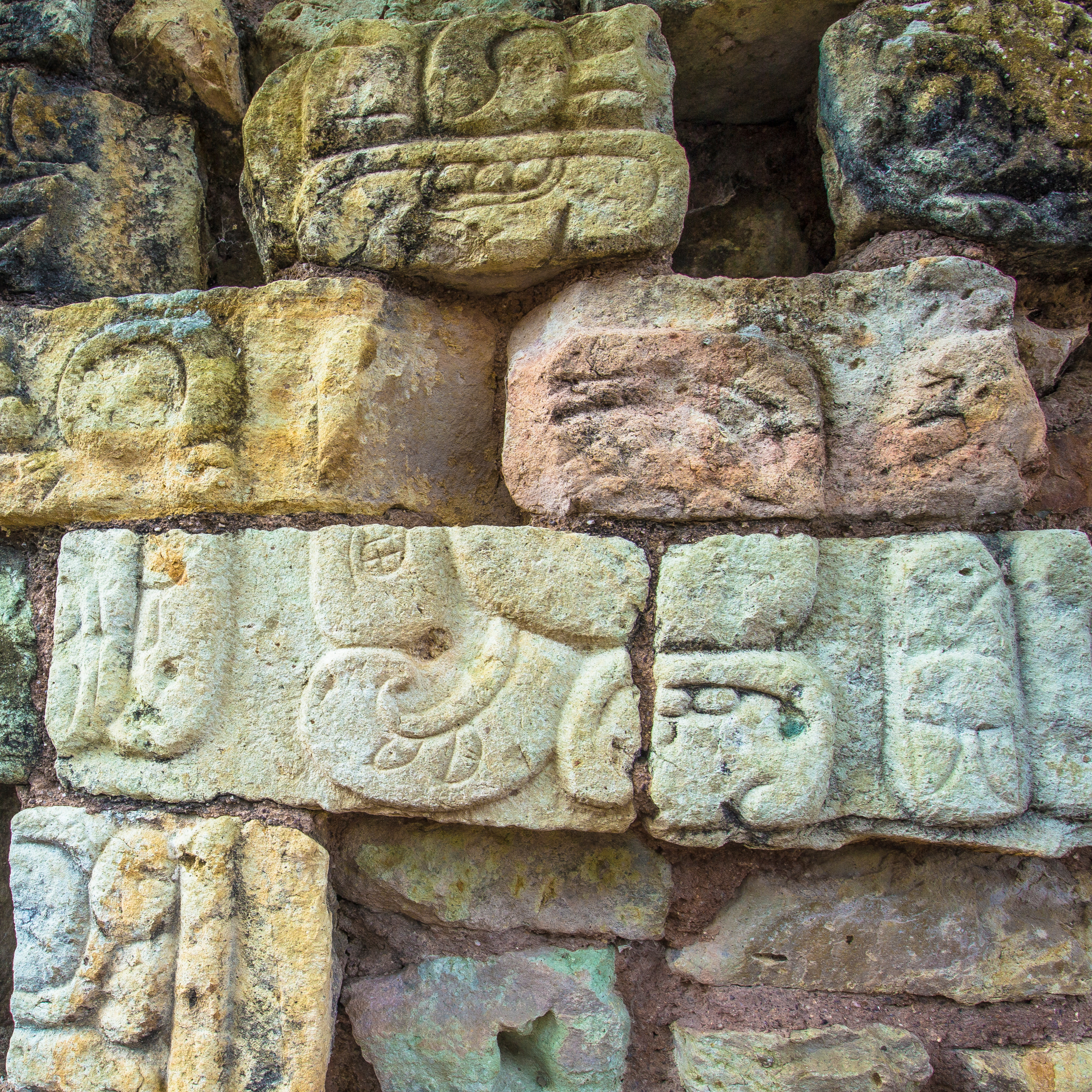 Portada de FARO INDIOS VERDES