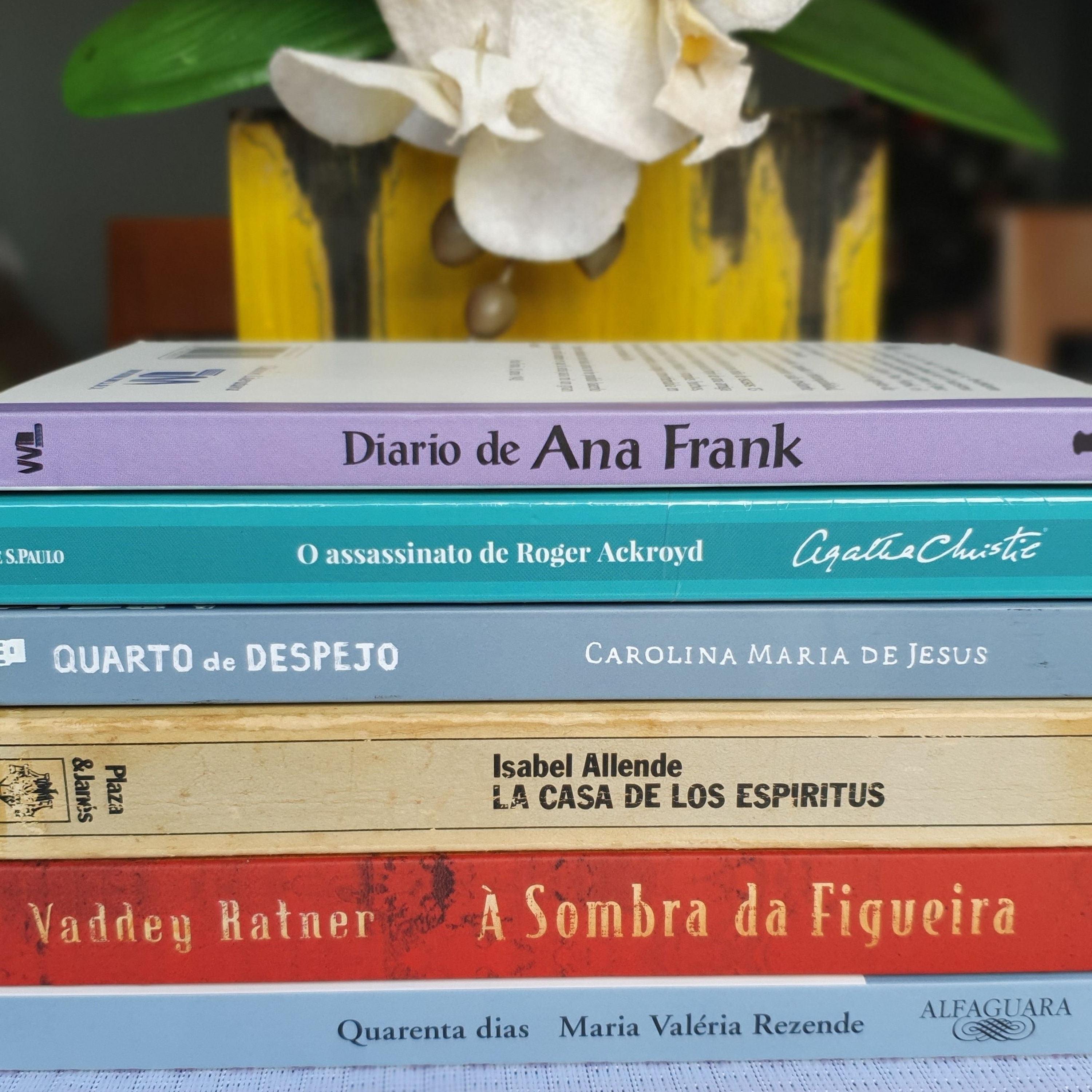 Literatura e Algo Mais