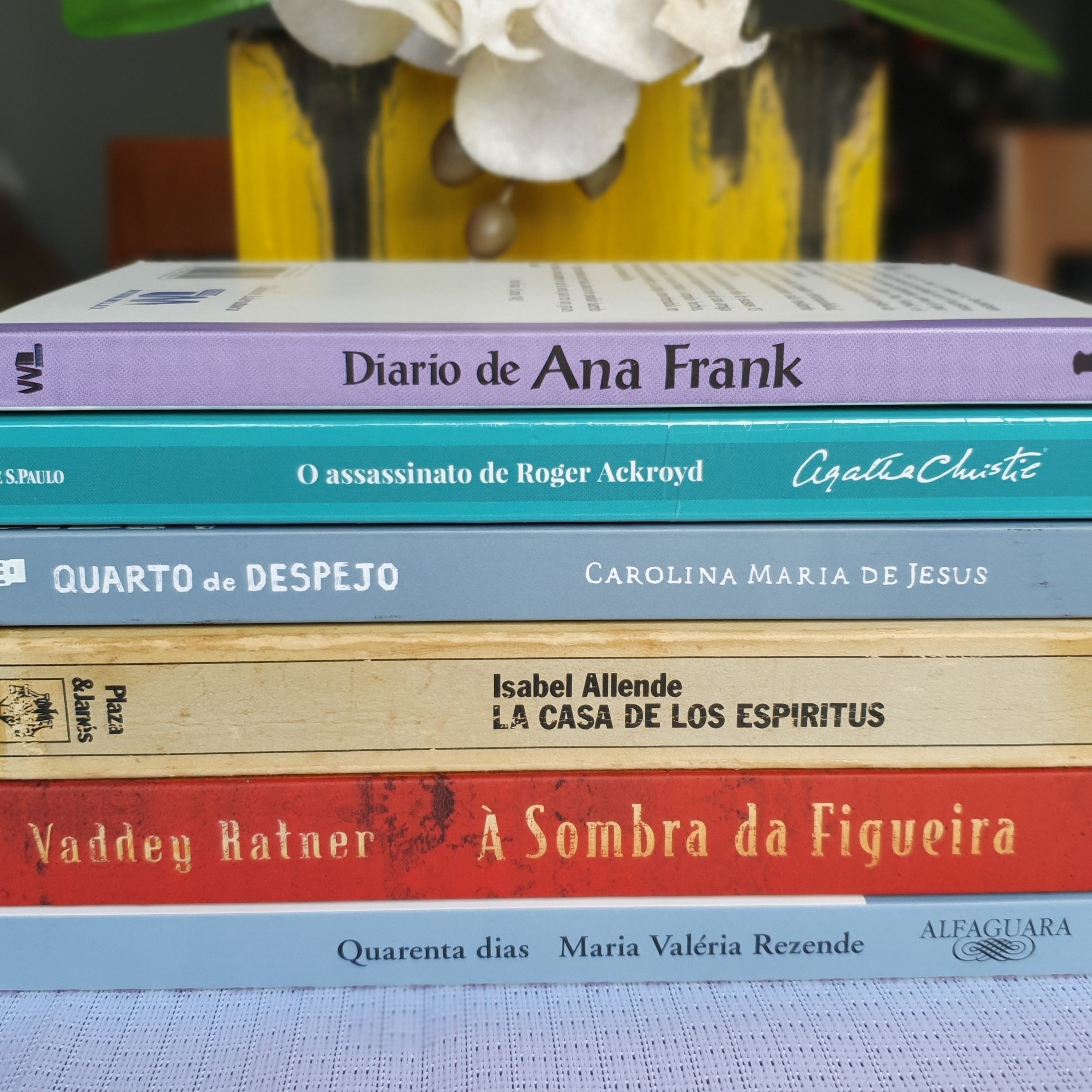 Literatura e Algo Mais