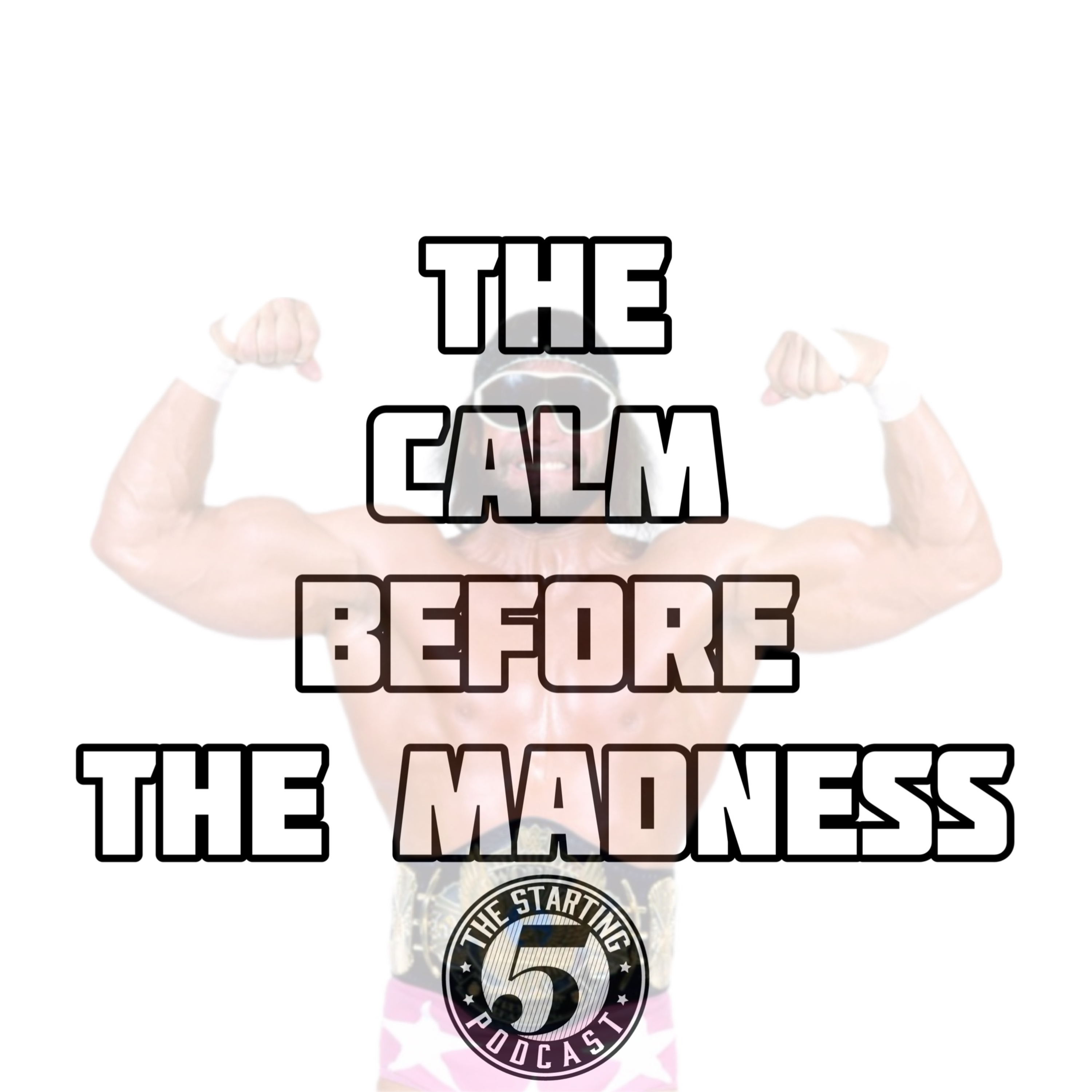 THE CALM BEFORE THE MADNESS! episode artwork