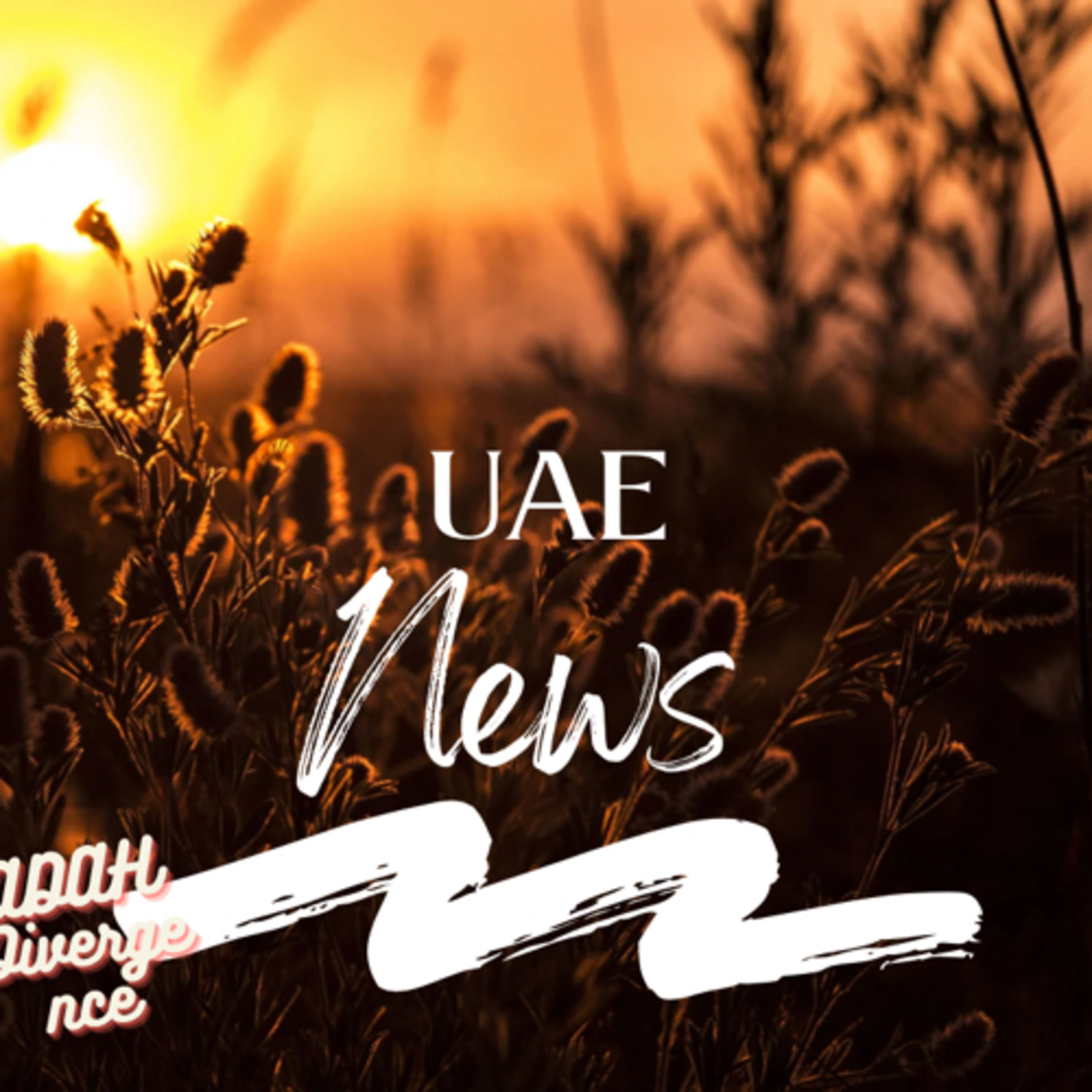 UAE traffic Rules  episode artwork