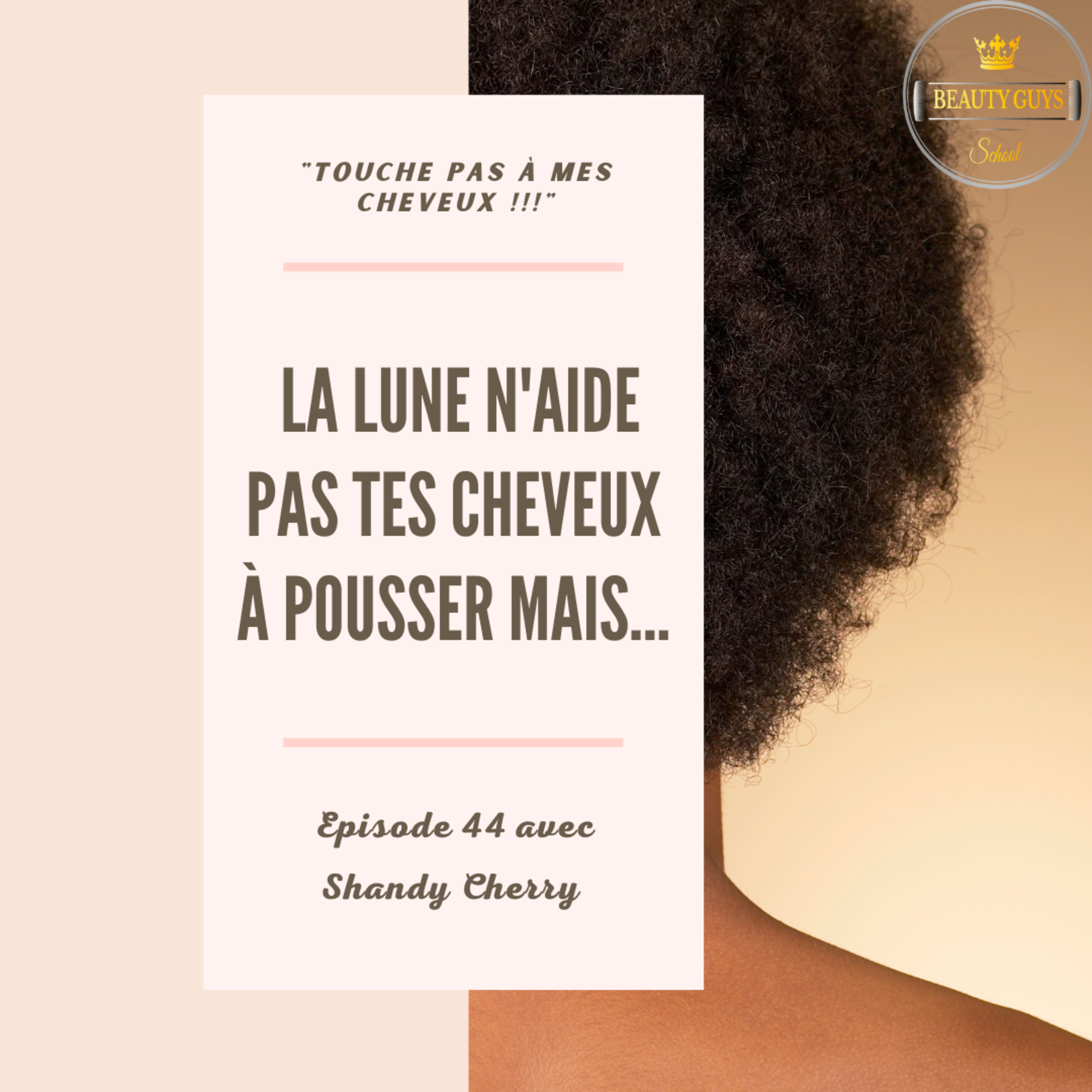 Touche Pas À Mes Cheveux !!!