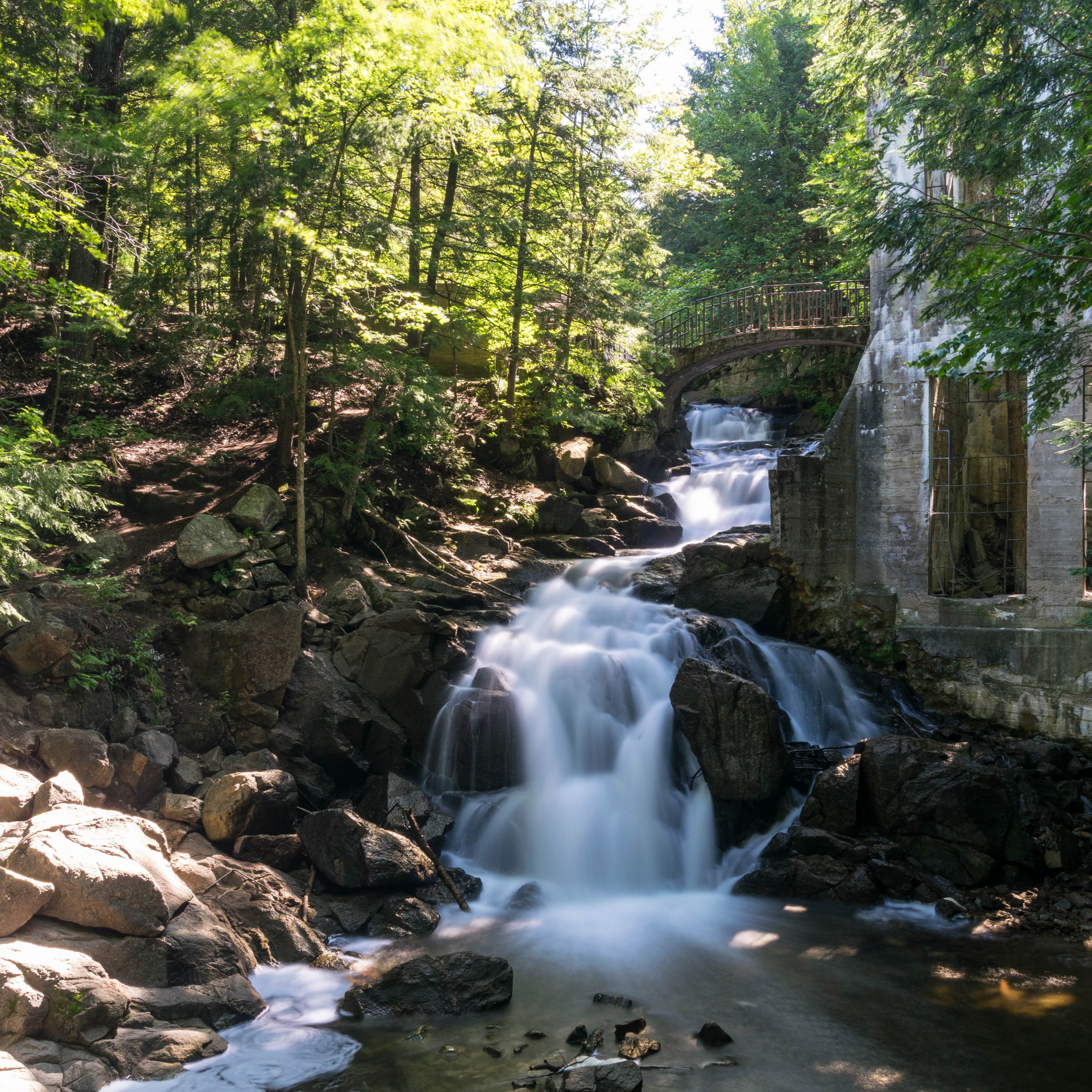 Sound in Nature Lite