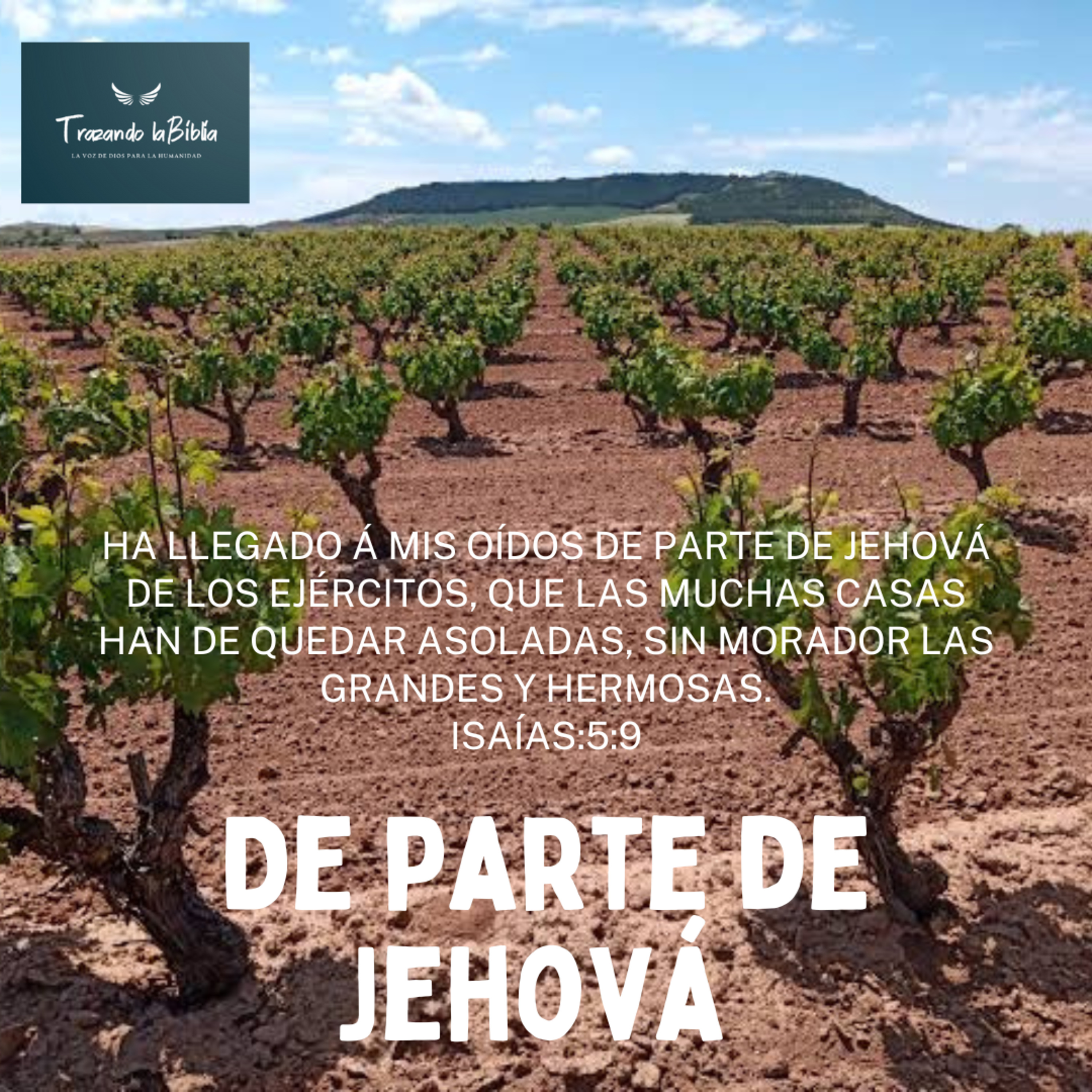 Portada de Trazando La Biblia