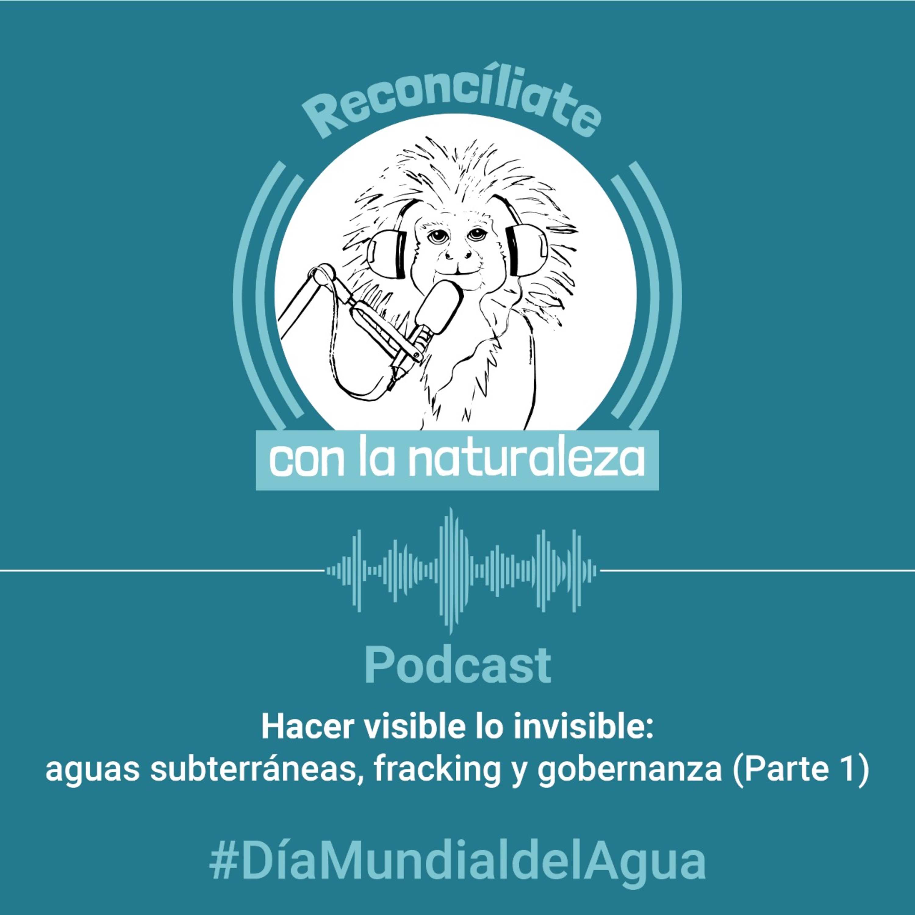 Hacer visible lo invisible: aguas subterráneas, fracking y gobernanza(Parte 1)