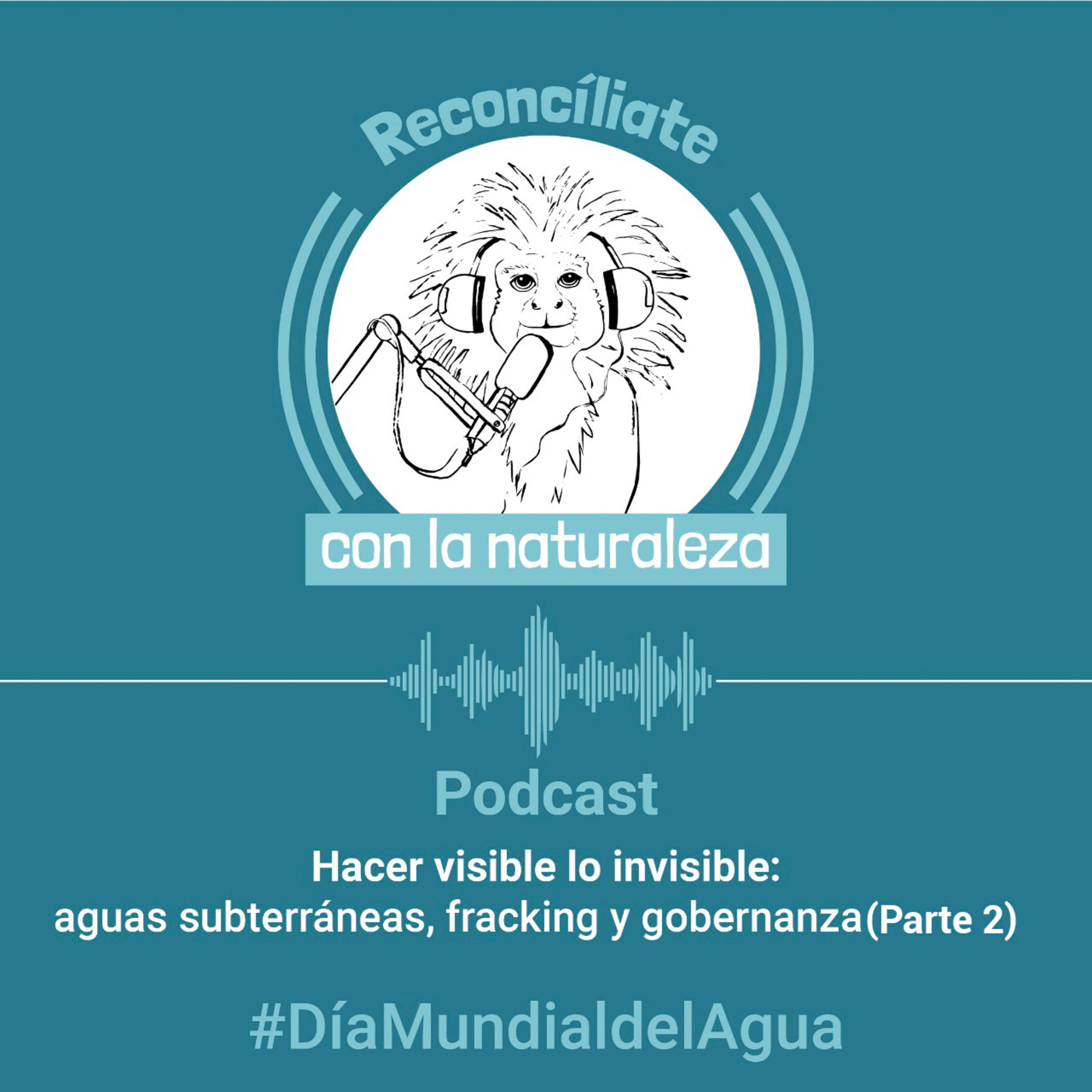 Hacer visible lo invisible: aguas subterráneas, fracking y gobernanza(Parte 2)