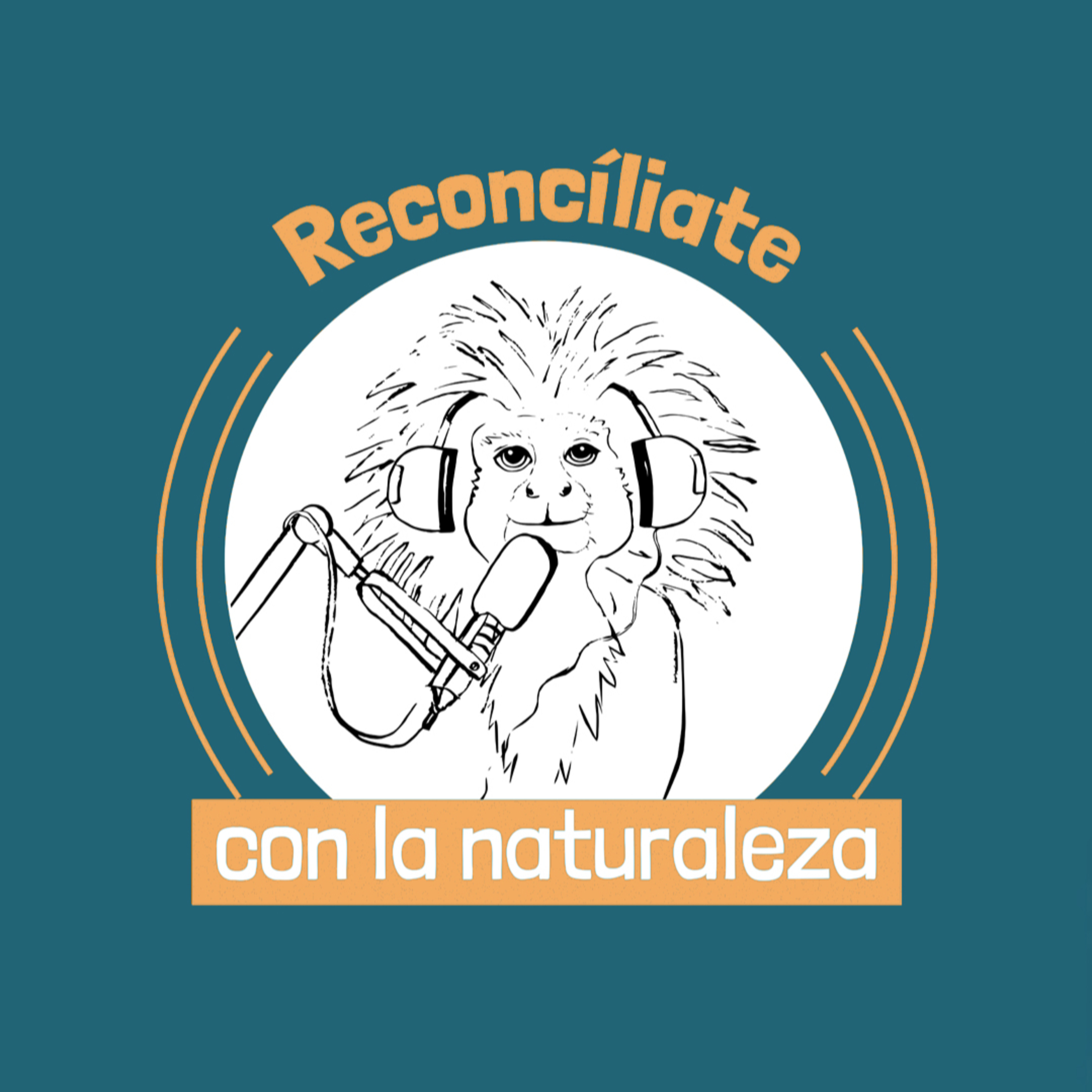 Reconcíliate con la Naturaleza