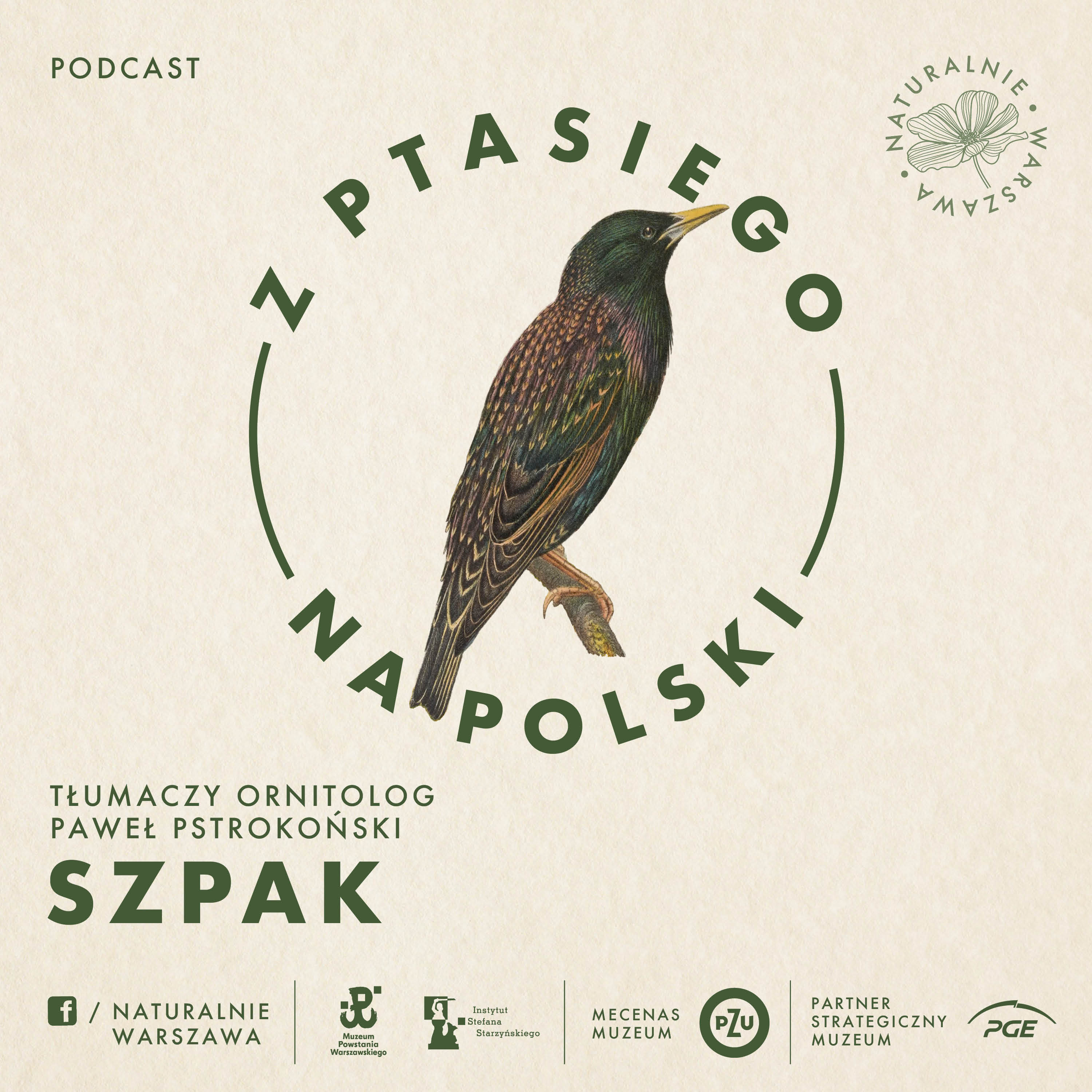 Z ptasiego na polski