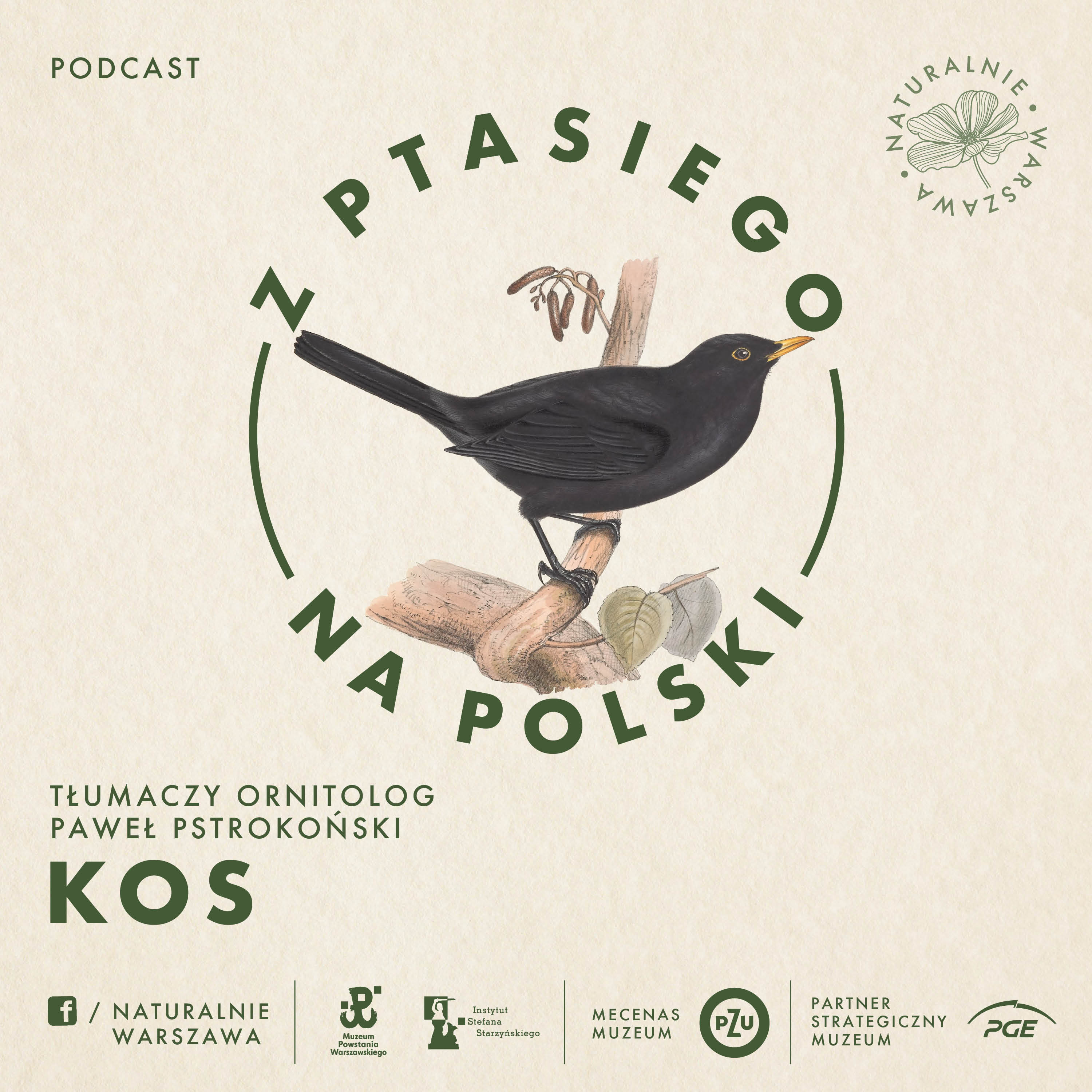 Z ptasiego na polski