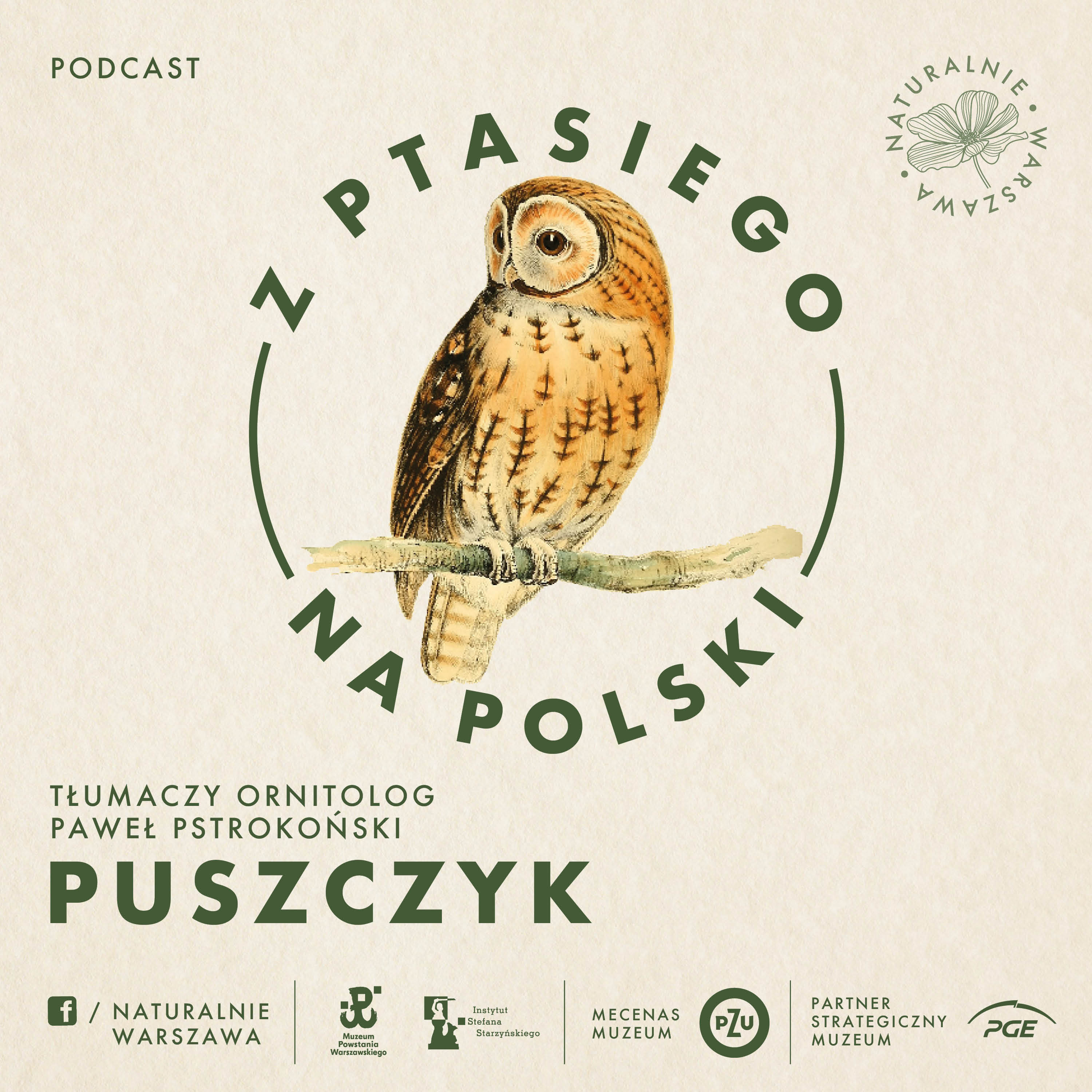 Z ptasiego na polski