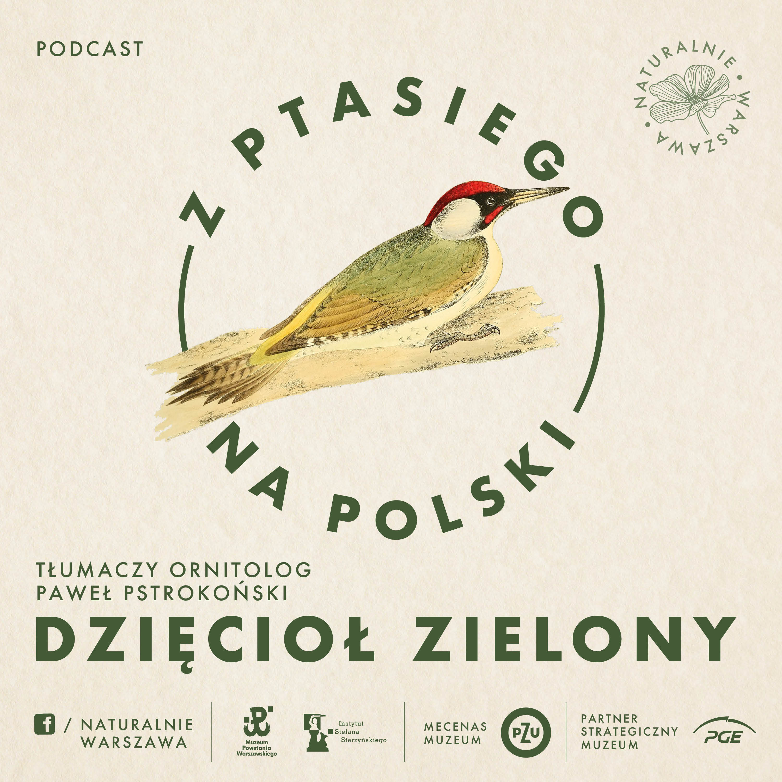 Z ptasiego na polski
