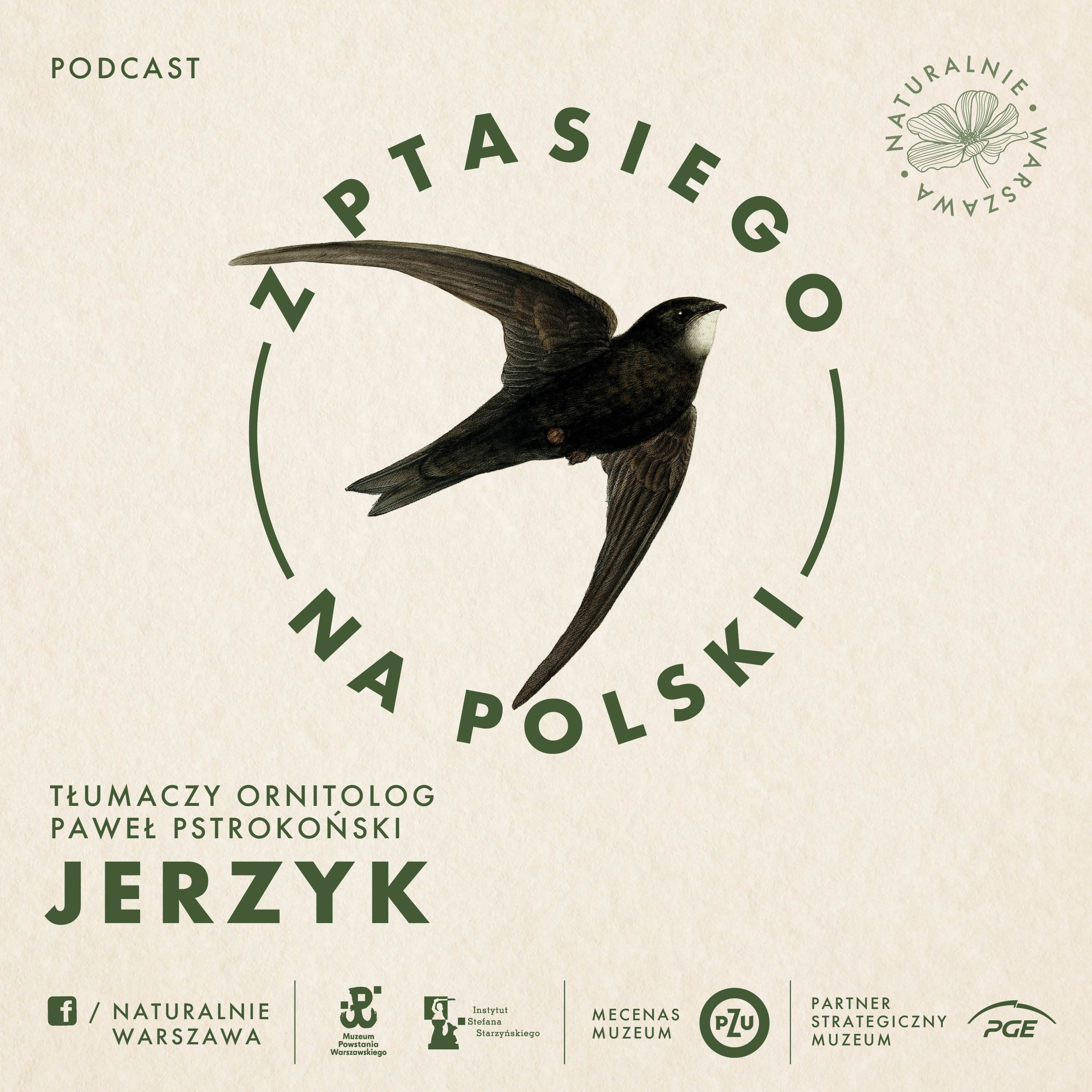 Z ptasiego na polski