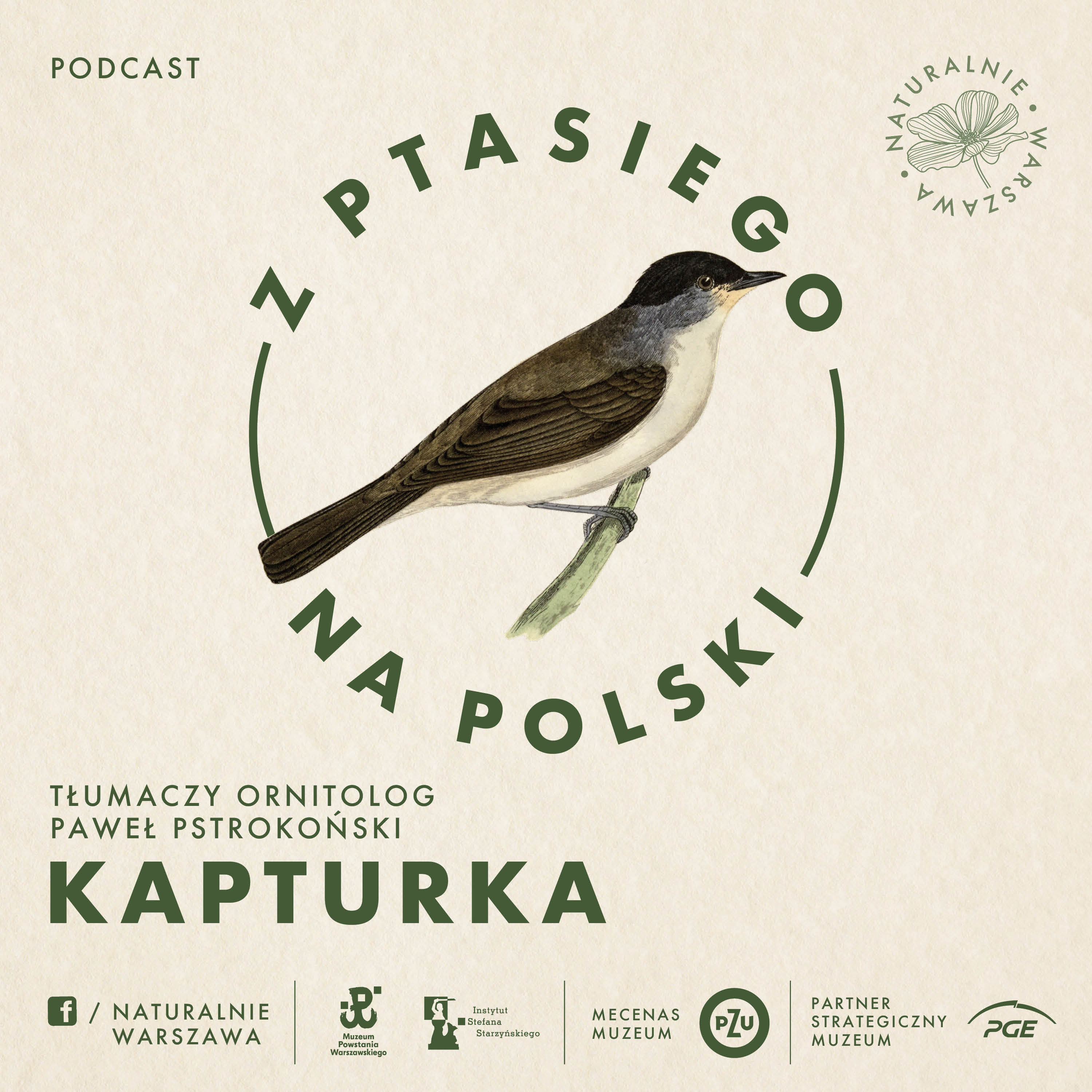 Z ptasiego na polski