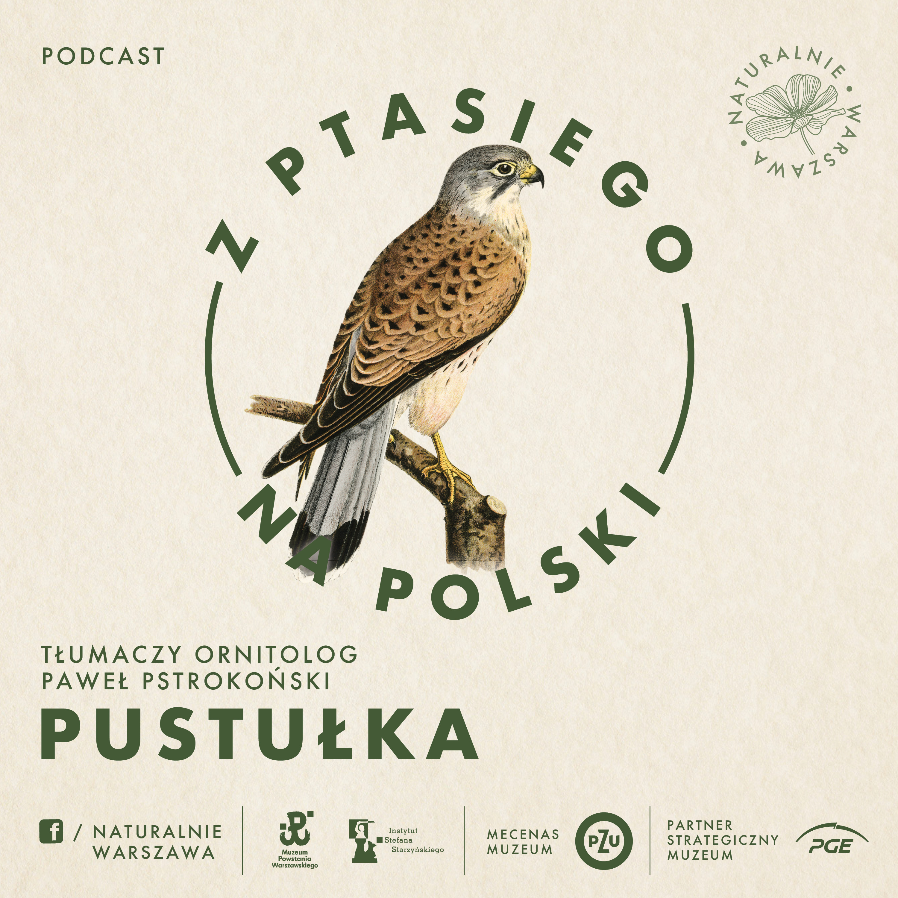 Z ptasiego na polski