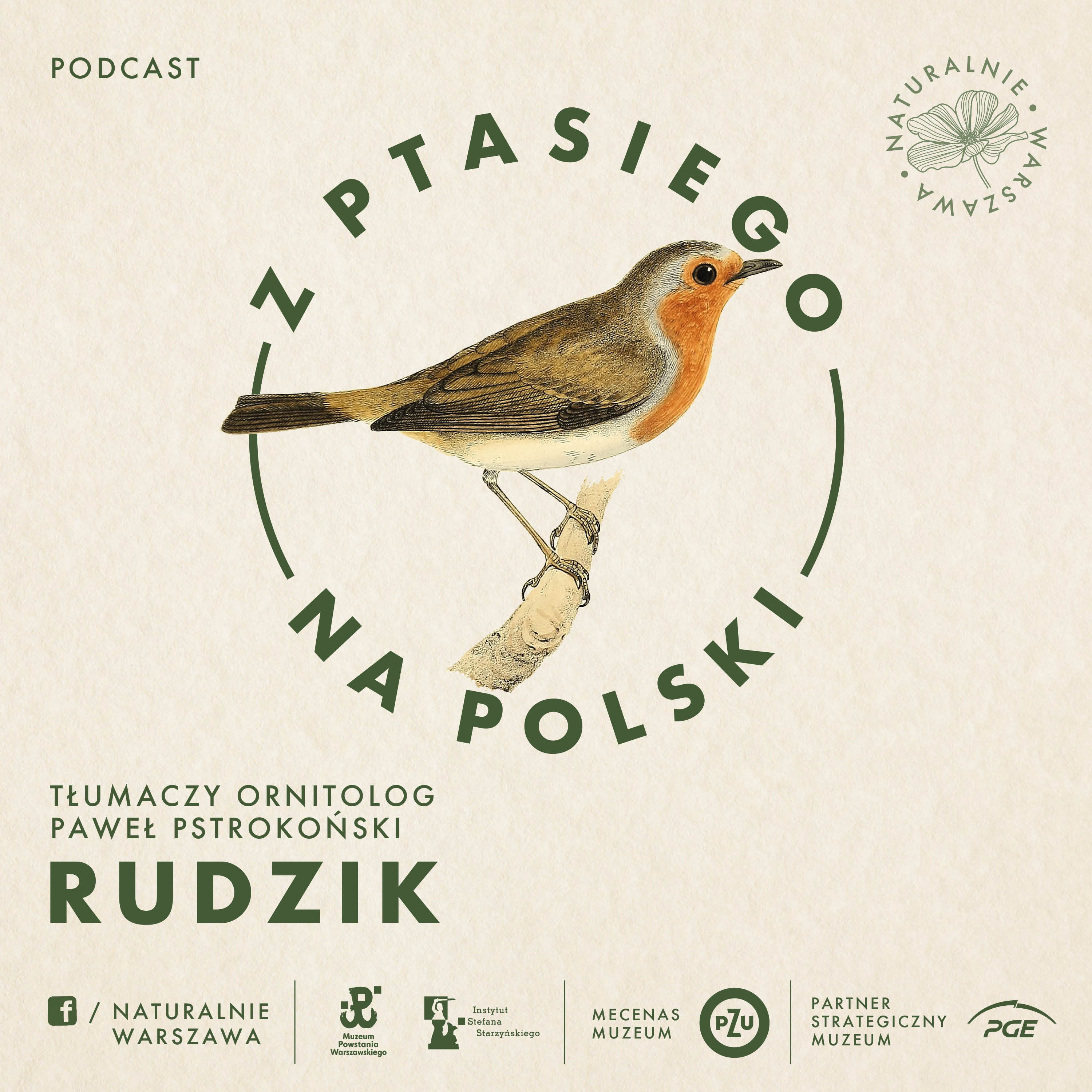 Z ptasiego na polski