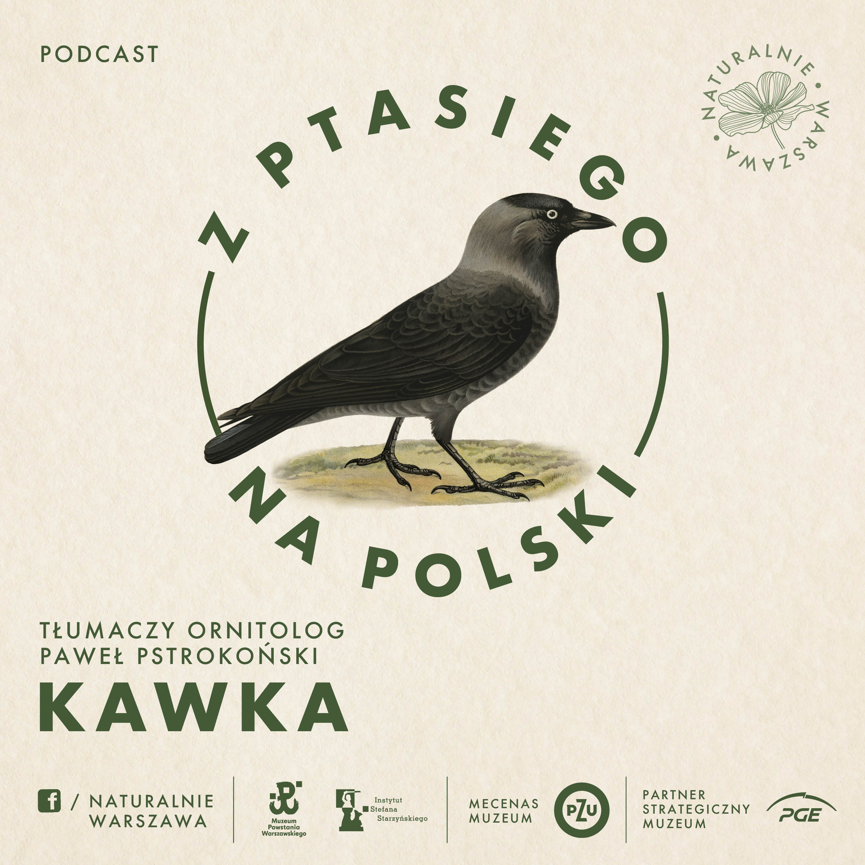 Z ptasiego na polski