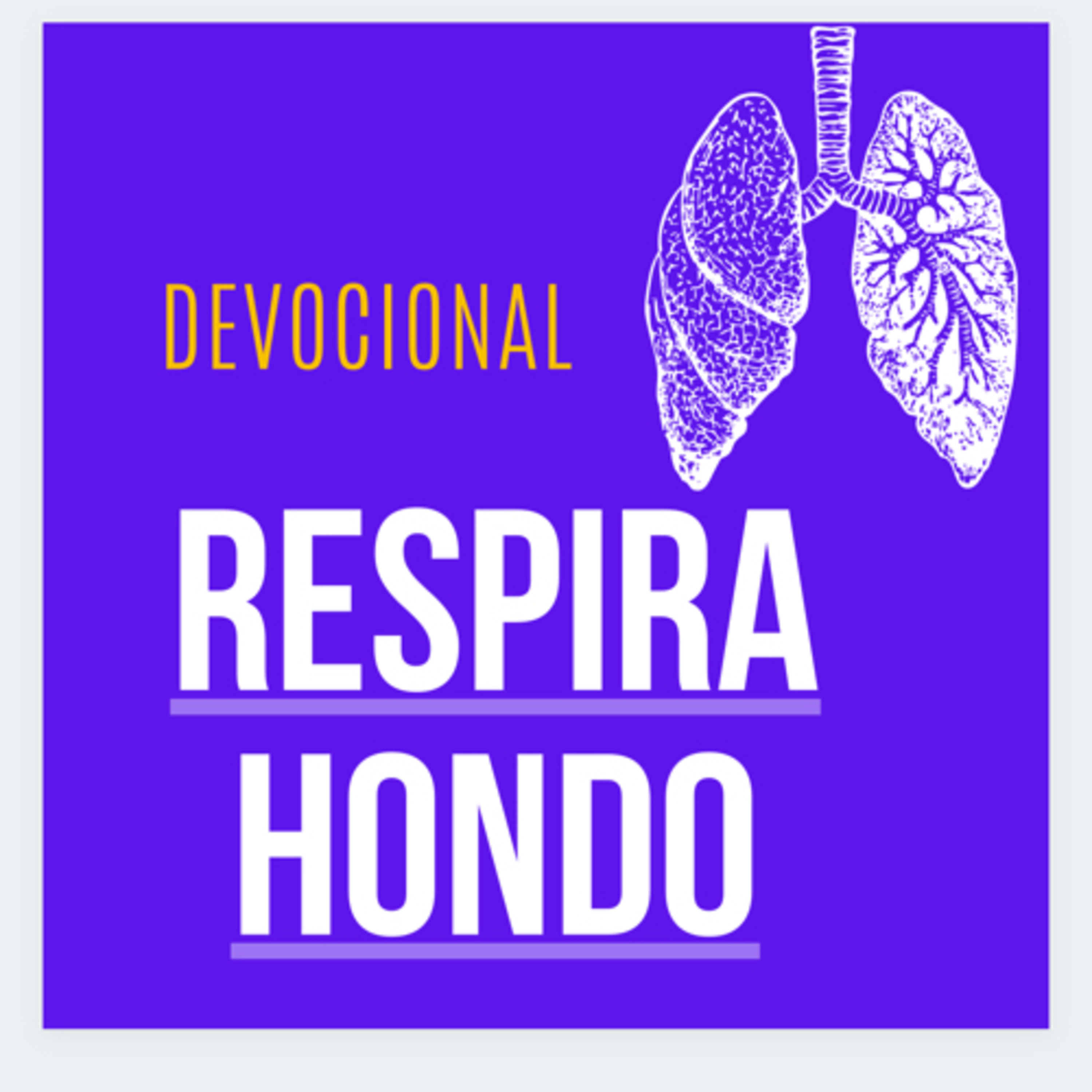 Devocional: respira hondo