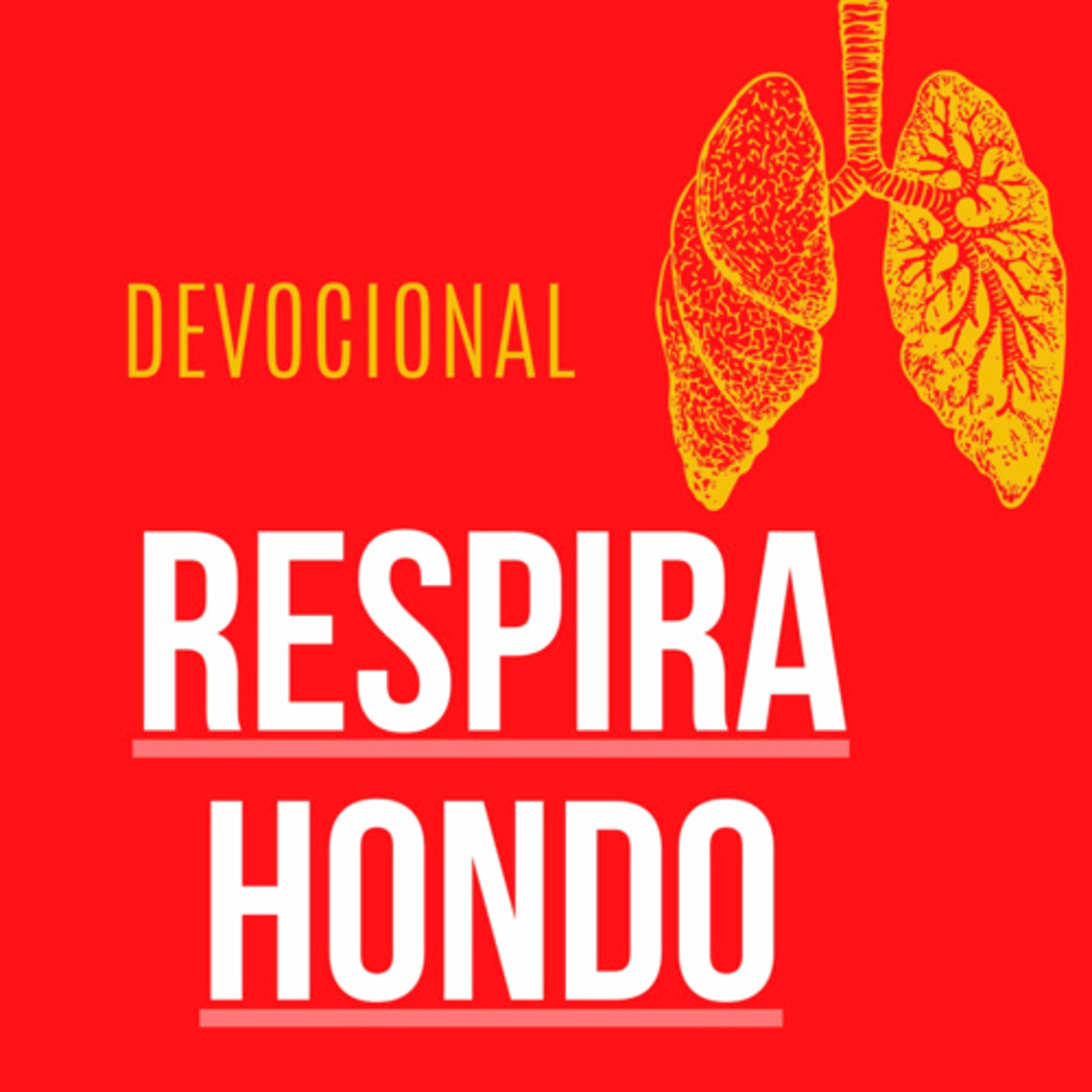 Devocional: respira hondo