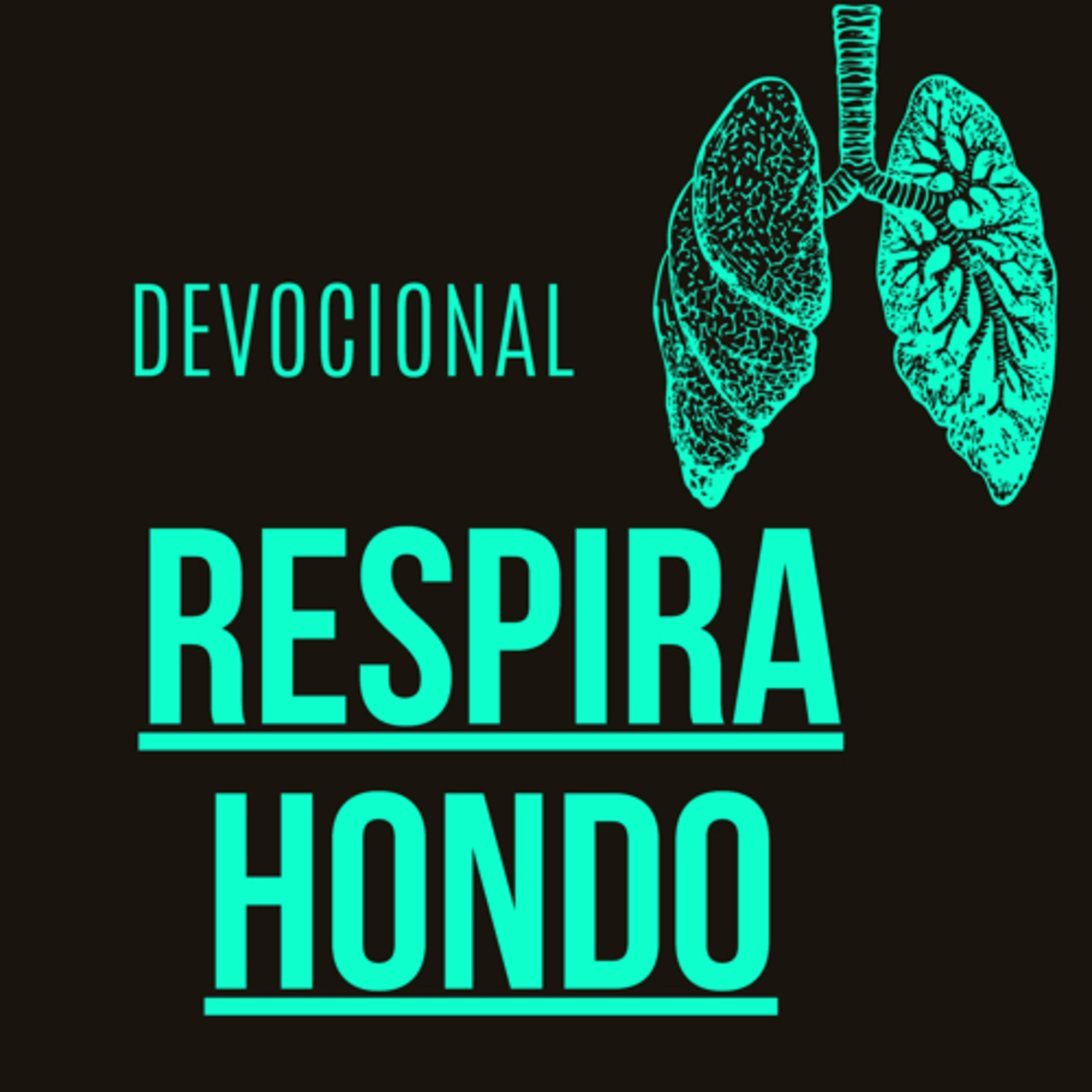 Devocional: respira hondo