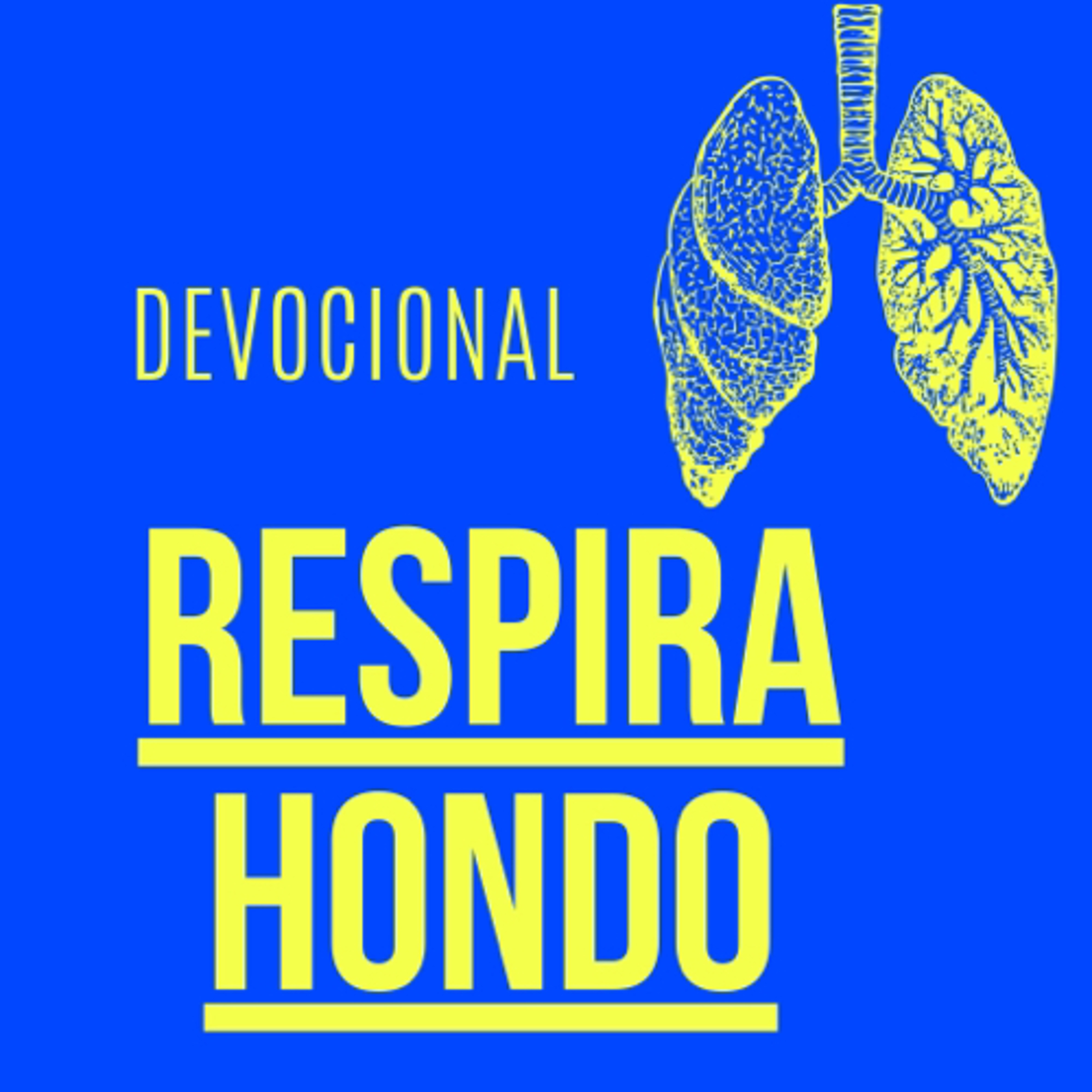 Devocional: respira hondo
