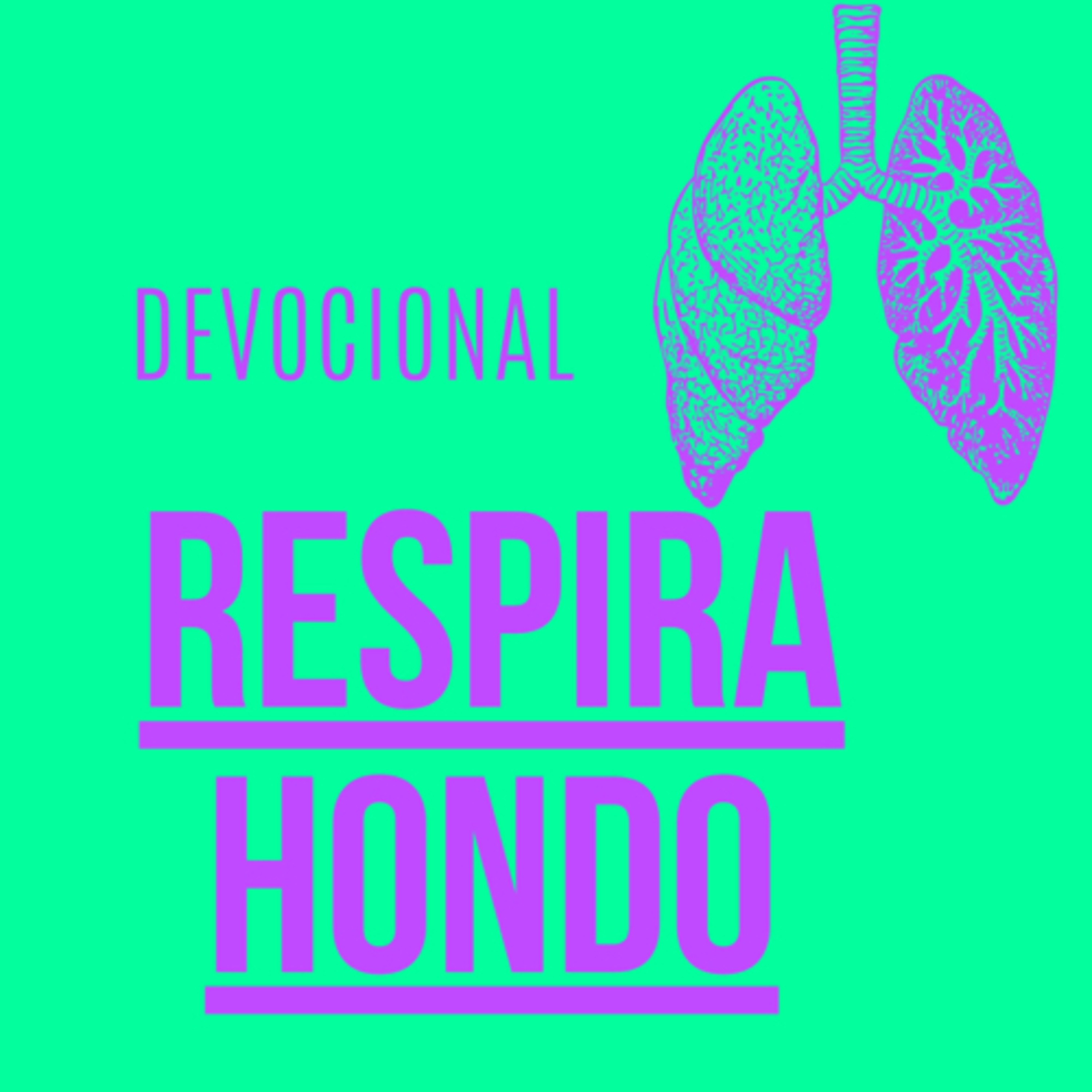 Devocional: respira hondo