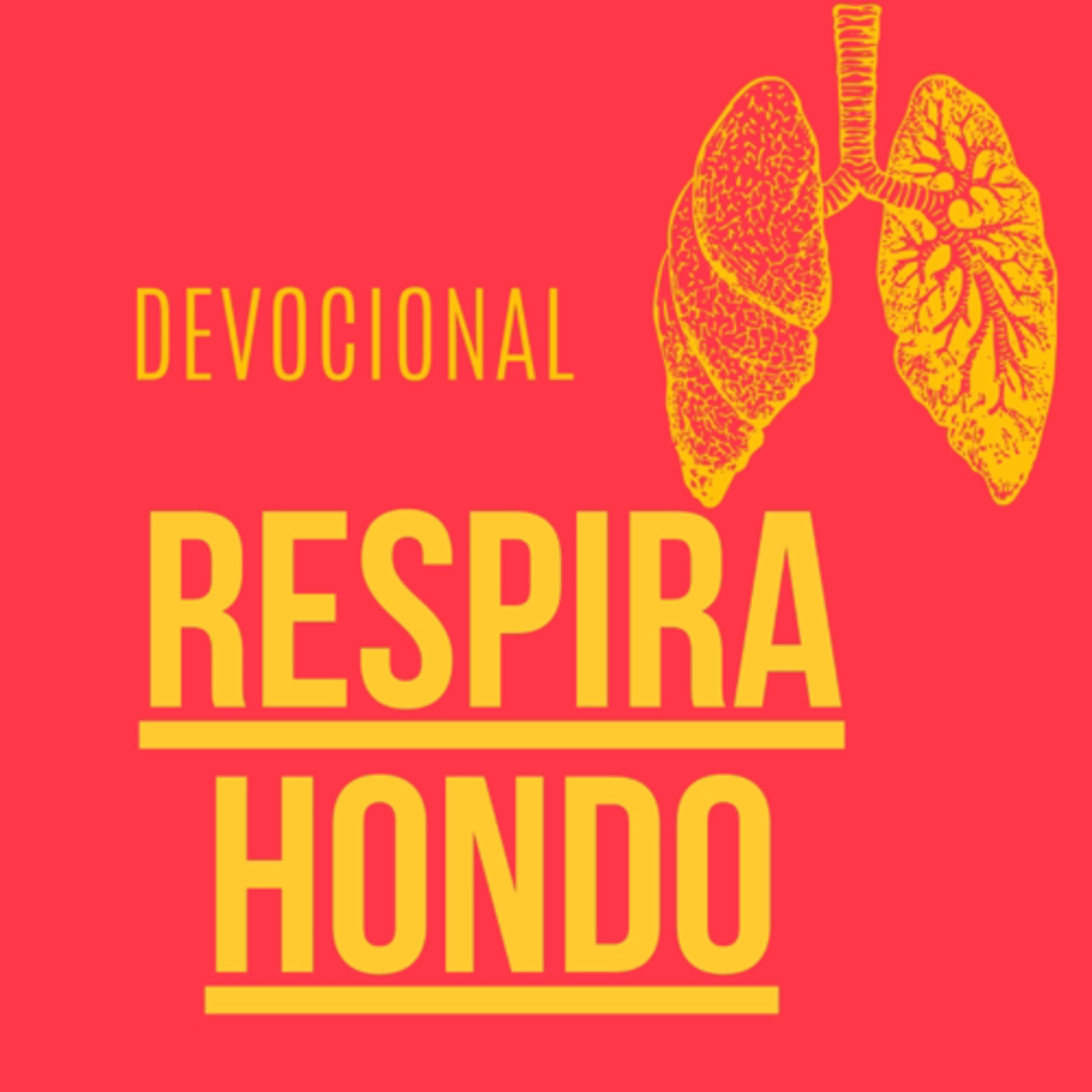 Devocional: respira hondo