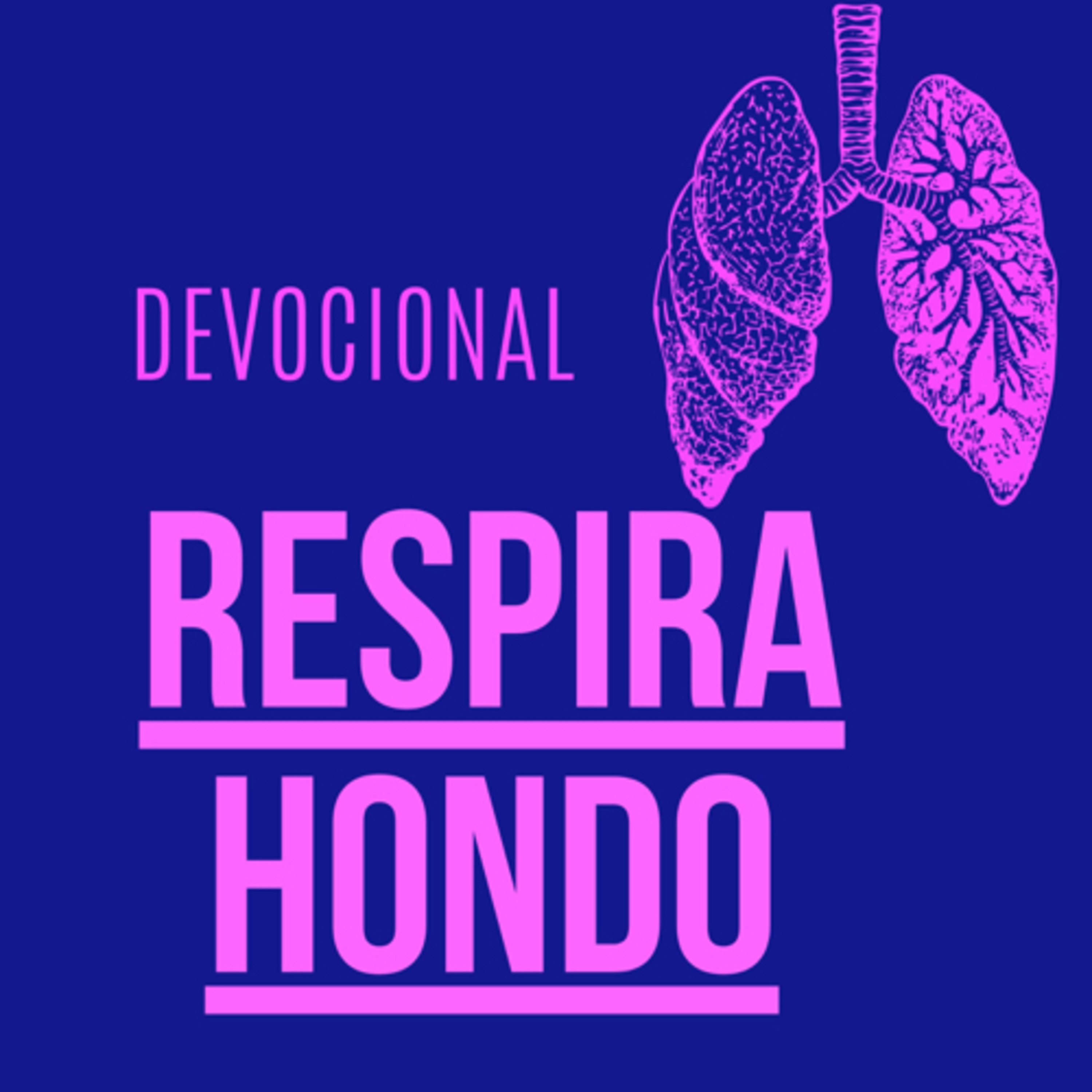 Devocional: respira hondo