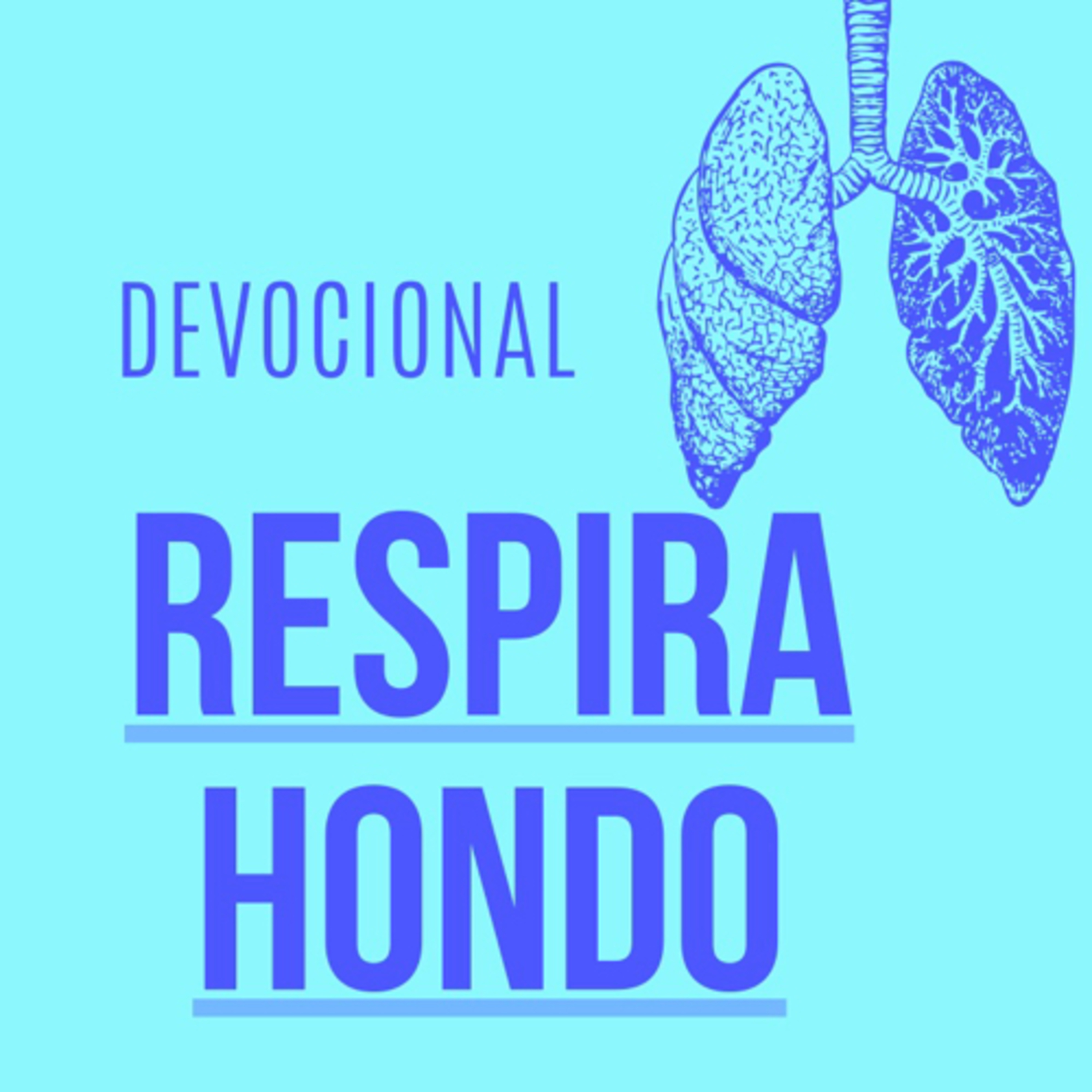 Devocional: respira hondo