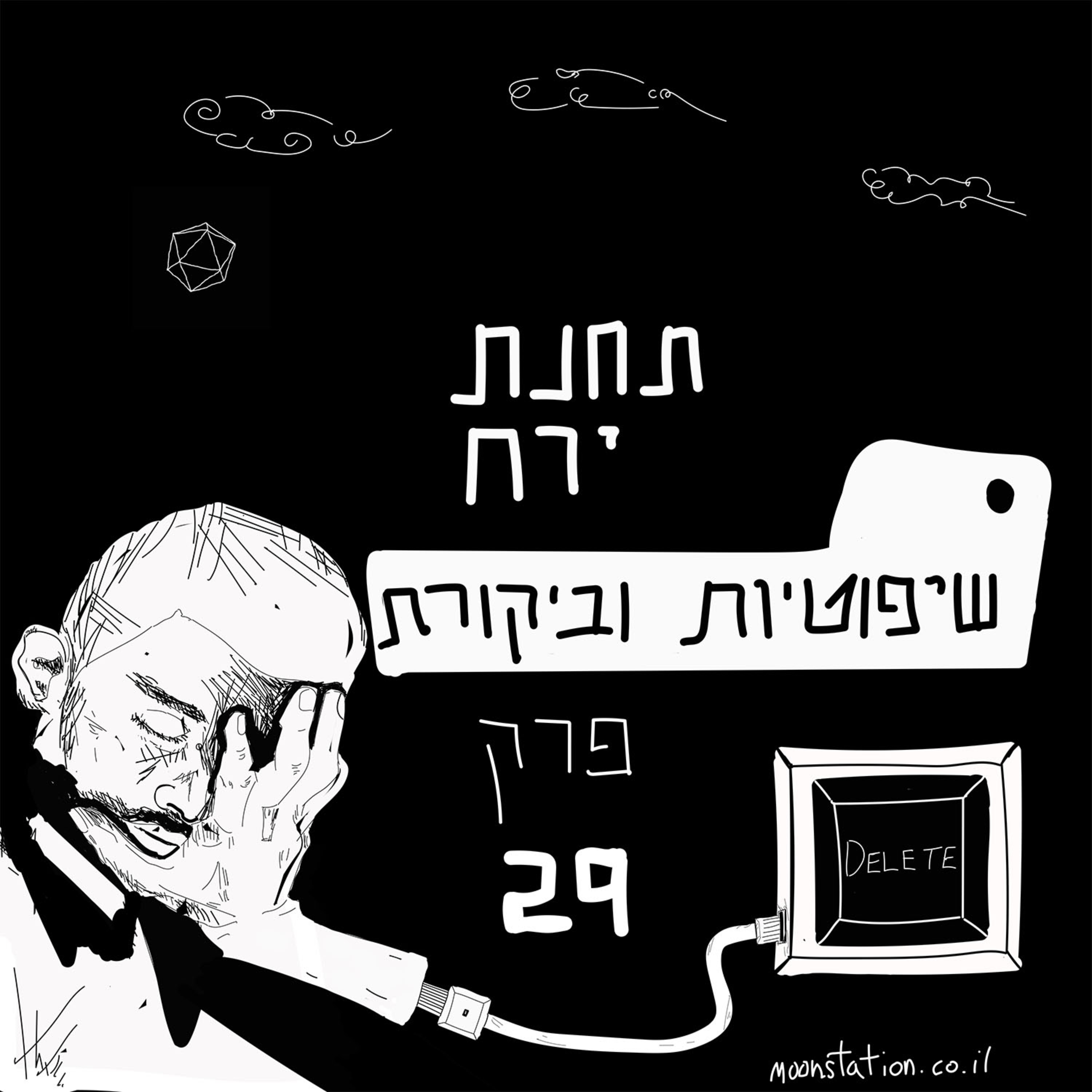 פרק 29 - שיפוטיות וביקורת