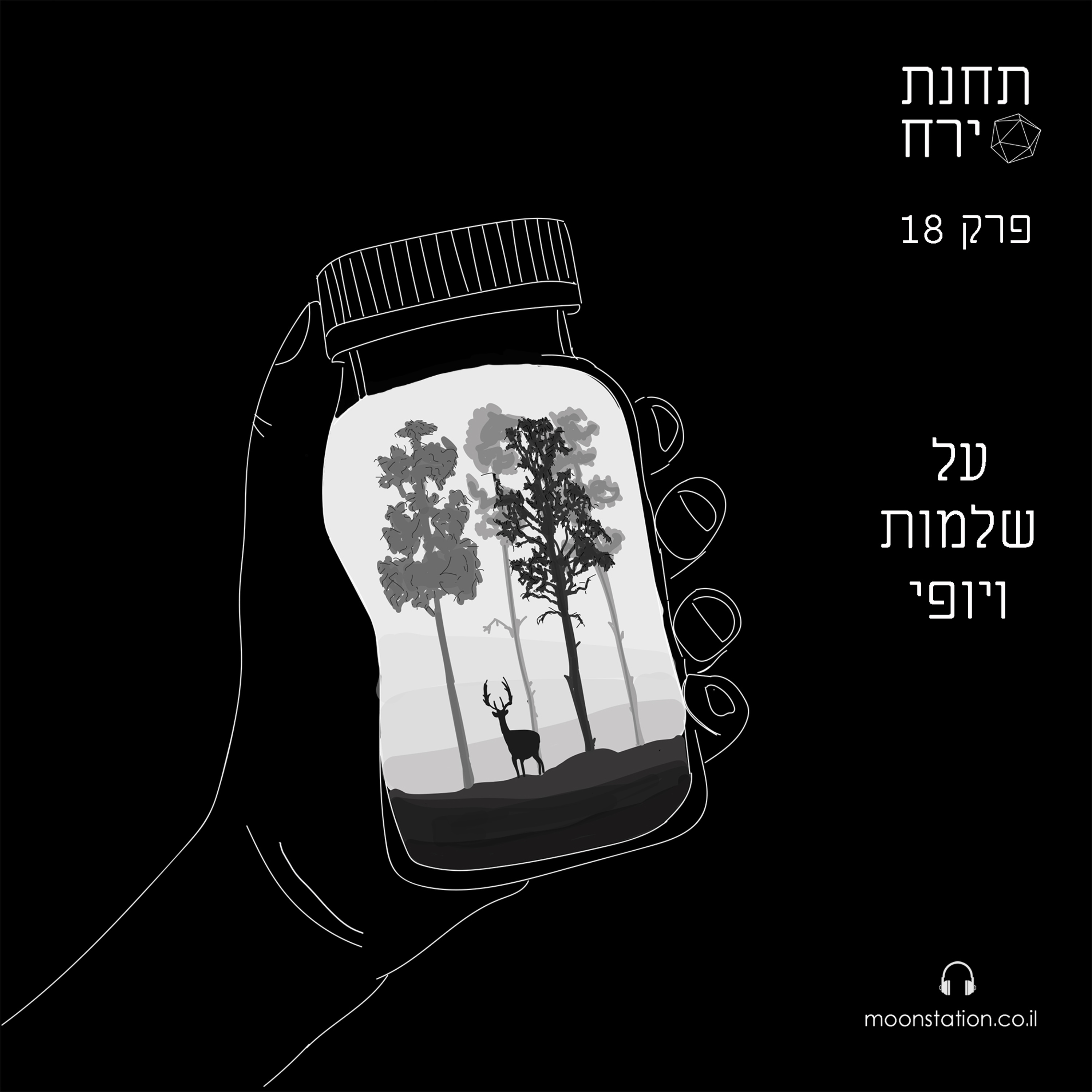 פרק 18 - שלמות ויופי