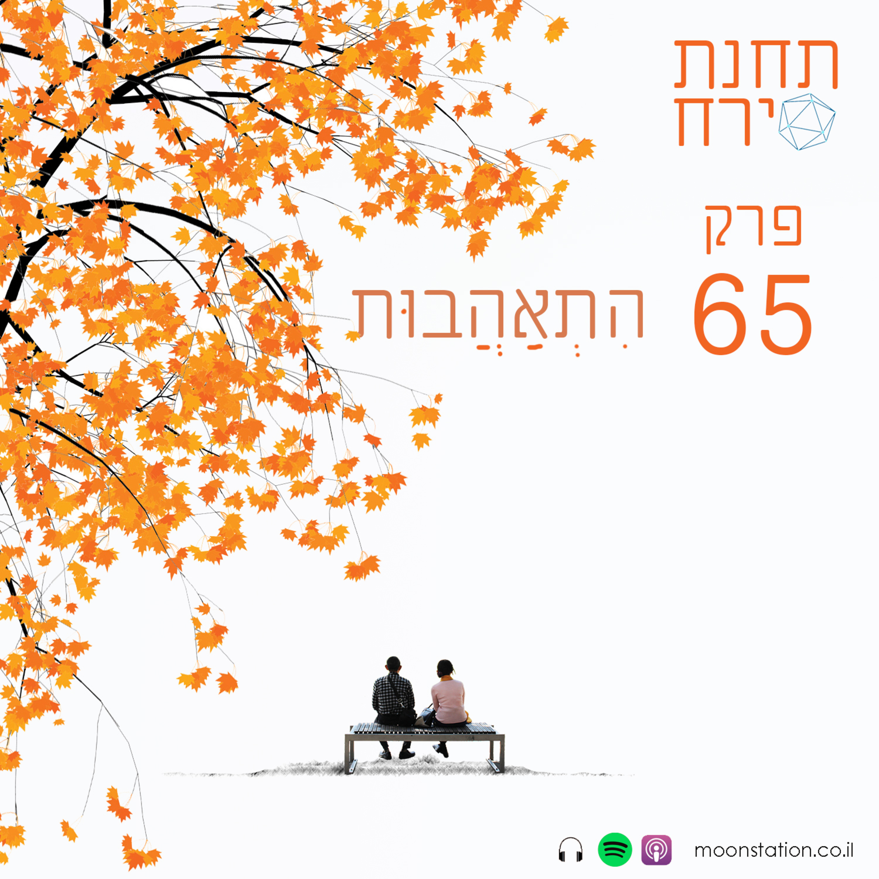 פרק 65 - התאהבות